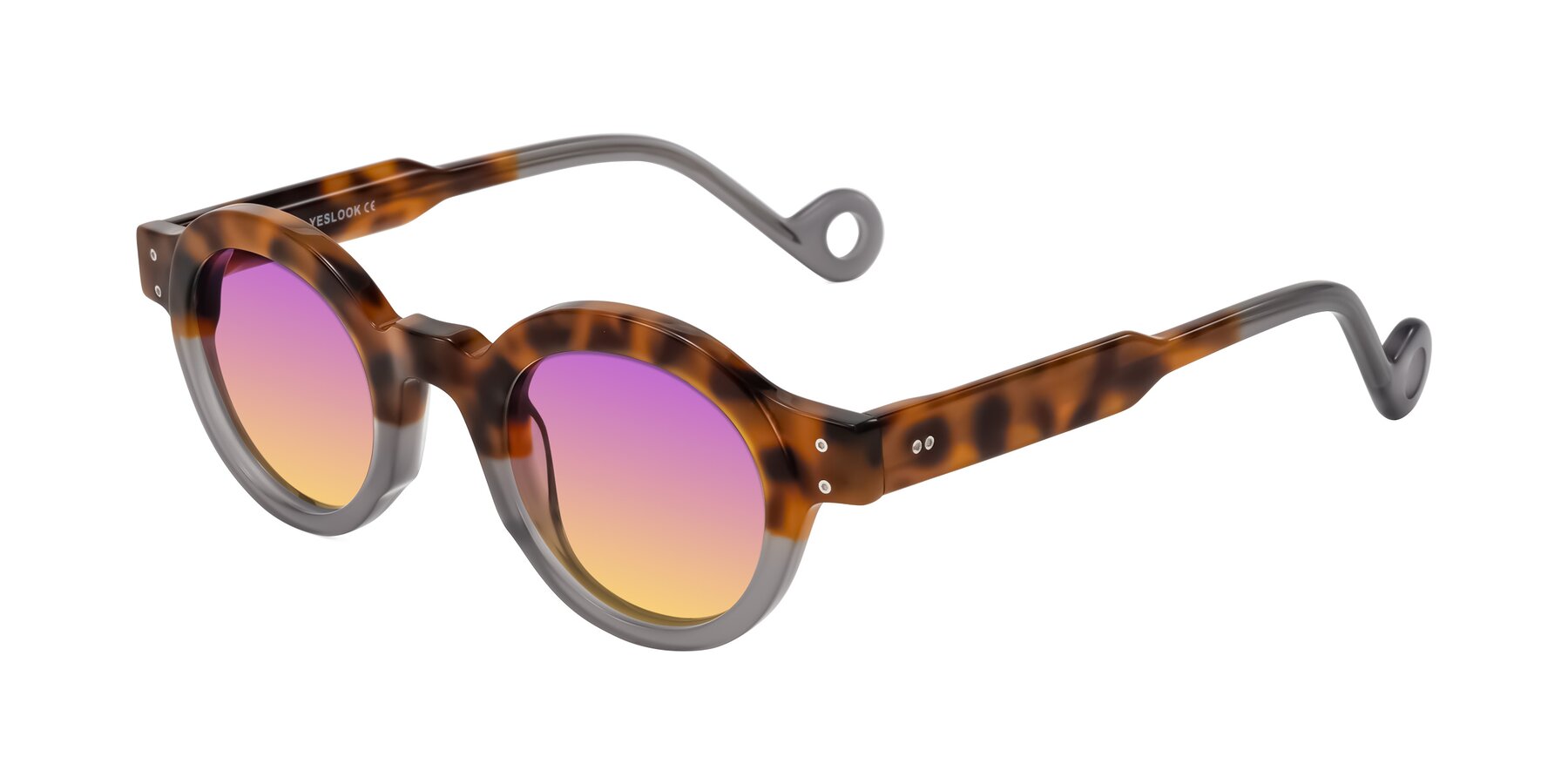 Angle of Aldo in Tortoise/Gray with Purple / Yellow Gradient Lenses
