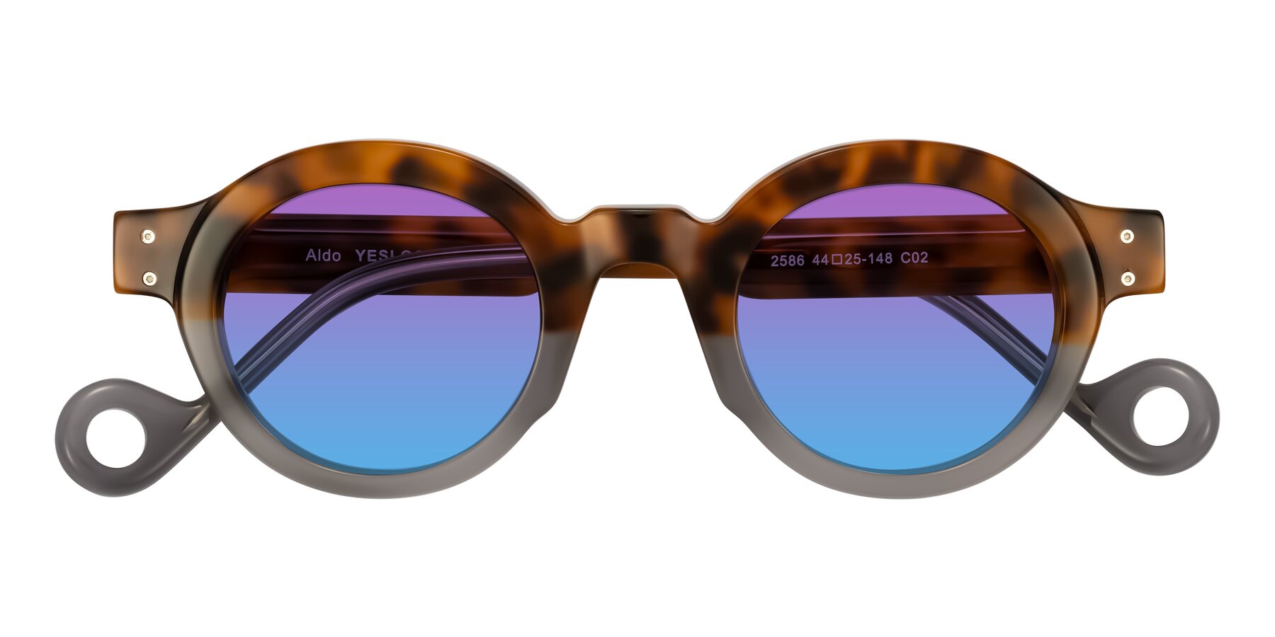 Folded Front of Aldo in Tortoise/Gray with Purple / Blue Gradient Lenses