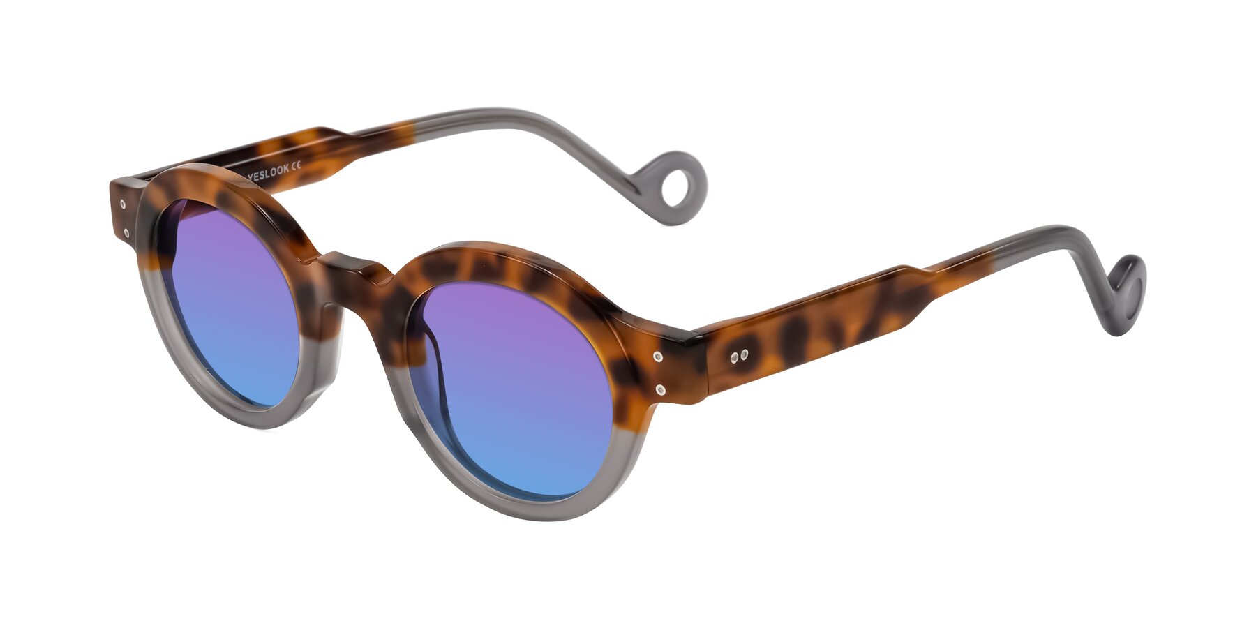 Angle of Aldo in Tortoise/Gray with Purple / Blue Gradient Lenses