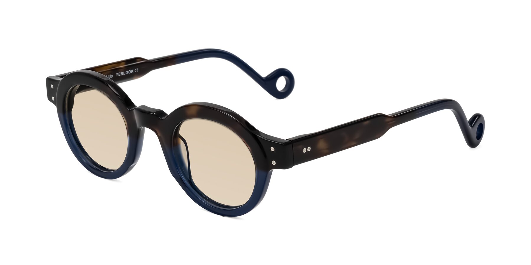 Angle of Aldo in Dark Tortoise/Midnight Blue with Light Brown Tinted Lenses