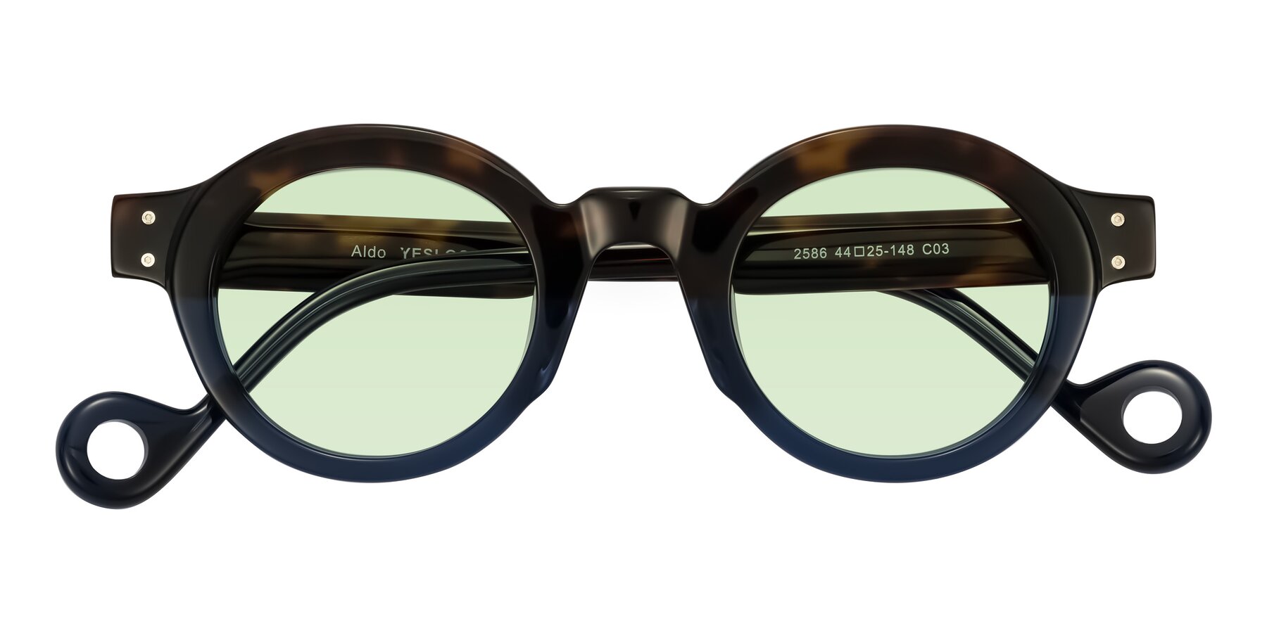 Folded Front of Aldo in Dark Tortoise/Midnight Blue with Light Green Tinted Lenses