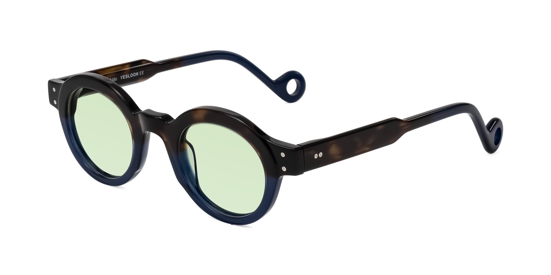 Angle of Aldo in Dark Tortoise/Midnight Blue with Light Green Tinted Lenses