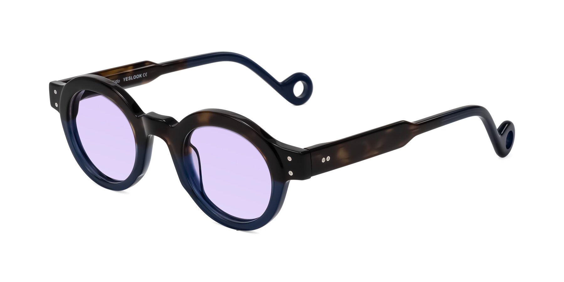 Angle of Aldo in Dark Tortoise/Midnight Blue with Light Purple Tinted Lenses
