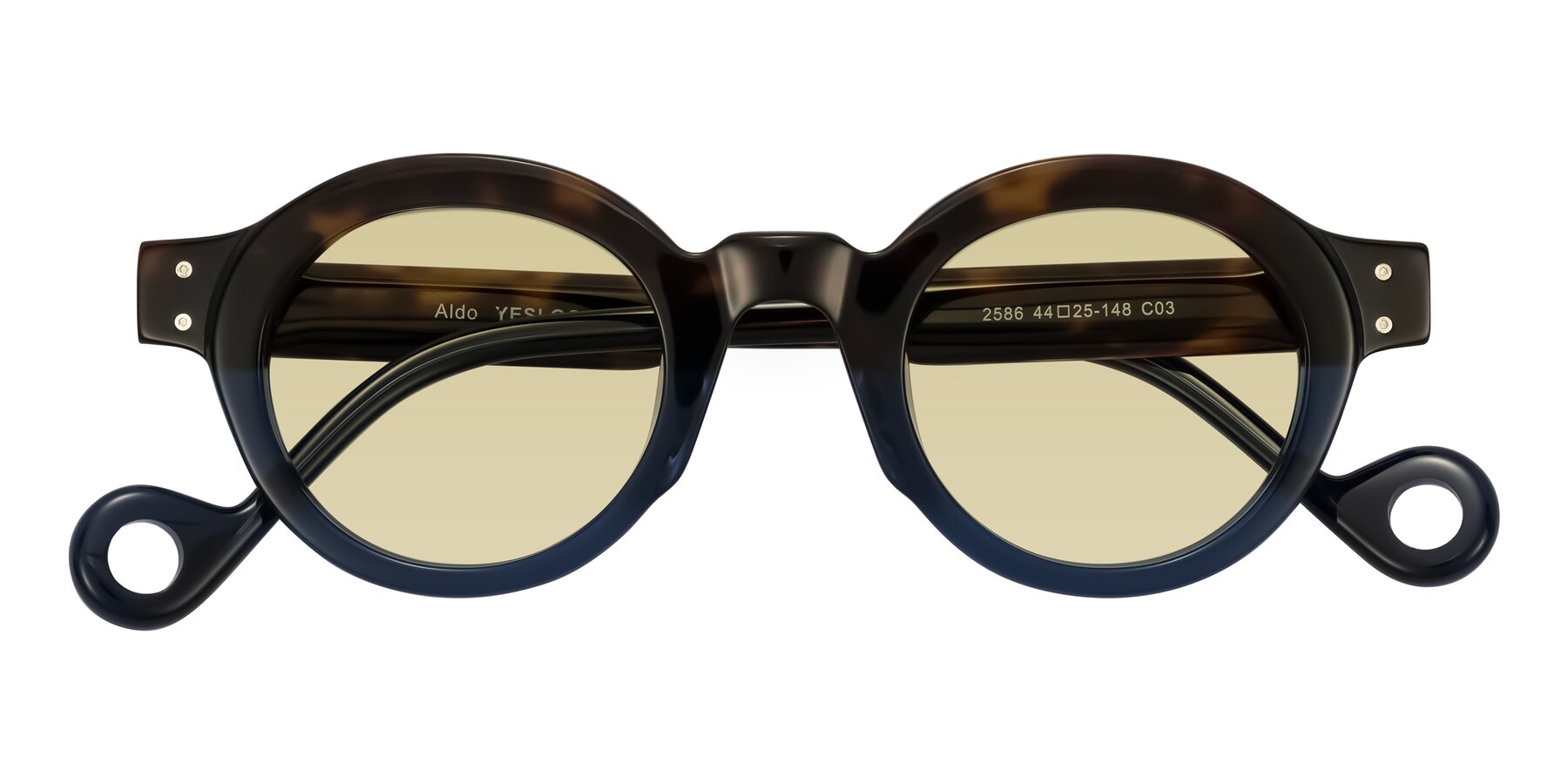 Folded Front of Aldo in Dark Tortoise/Midnight Blue with Light Champagne Tinted Lenses