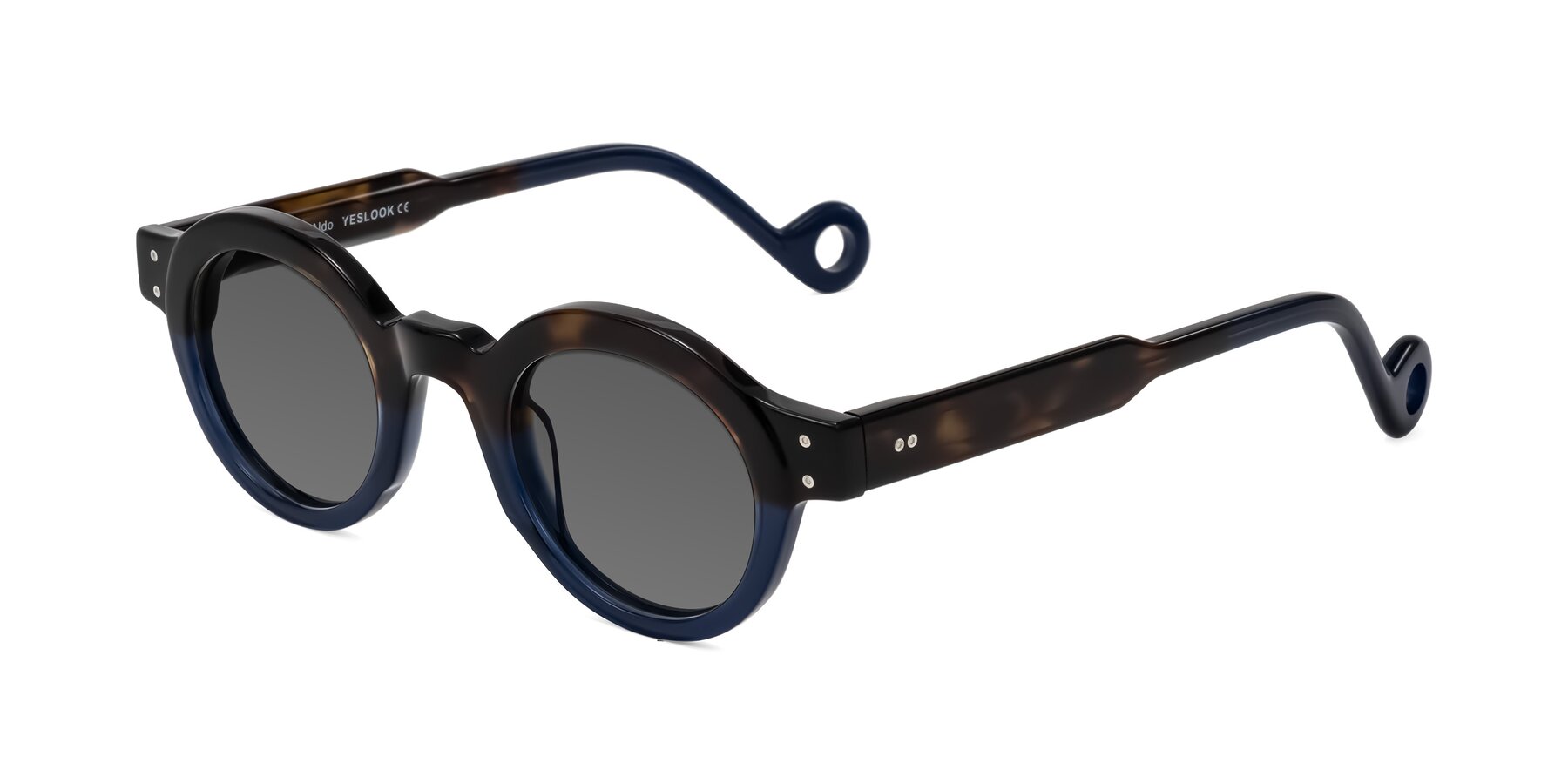 Angle of Aldo in Dark Tortoise/Midnight Blue with Medium Gray Tinted Lenses