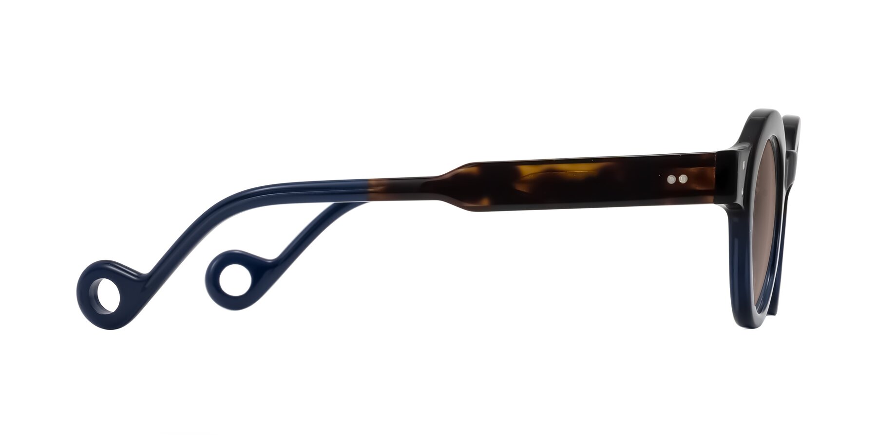 Side of Aldo in Dark Tortoise/Midnight Blue with Medium Brown Tinted Lenses