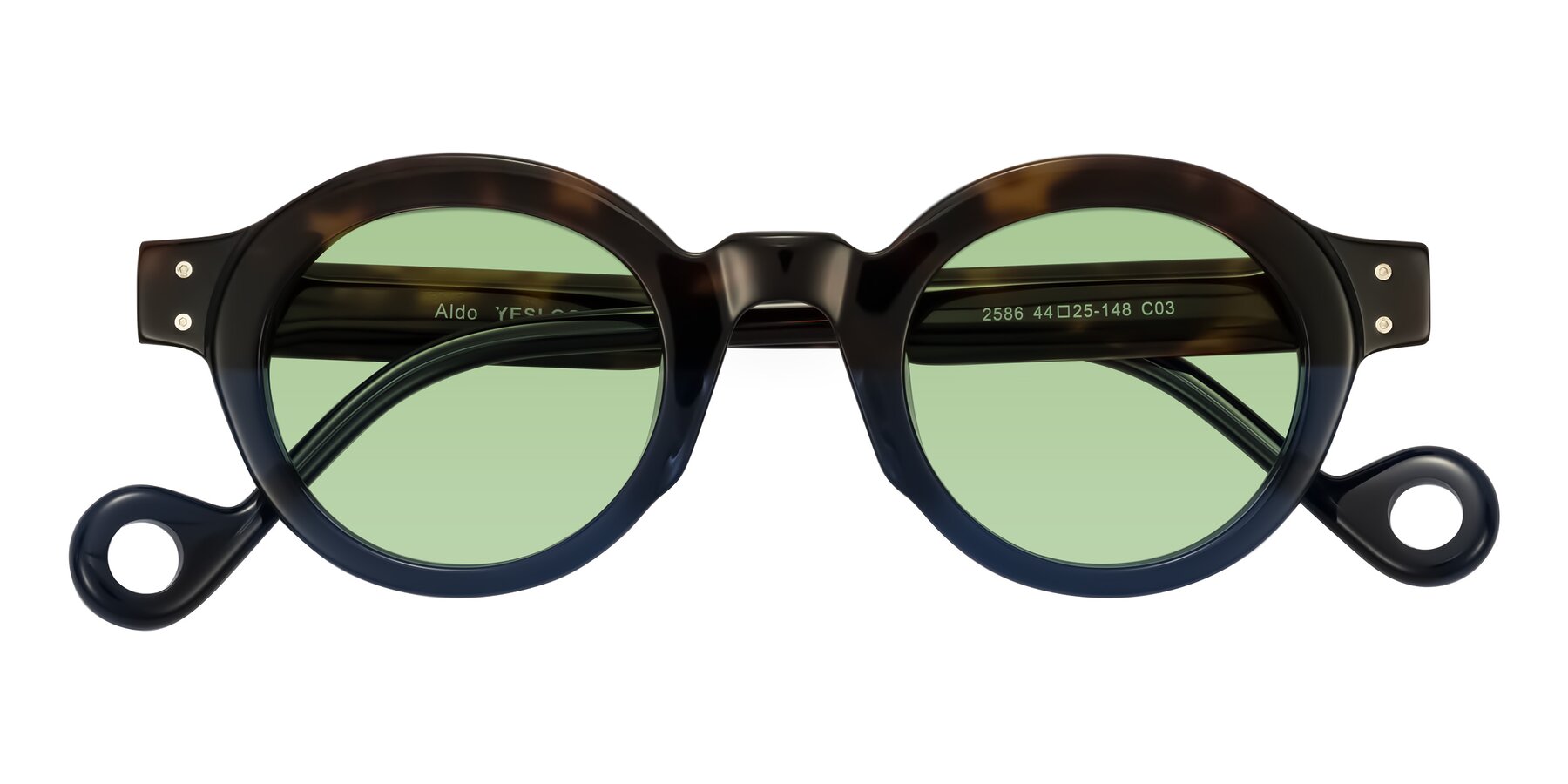 Folded Front of Aldo in Dark Tortoise/Midnight Blue with Medium Green Tinted Lenses