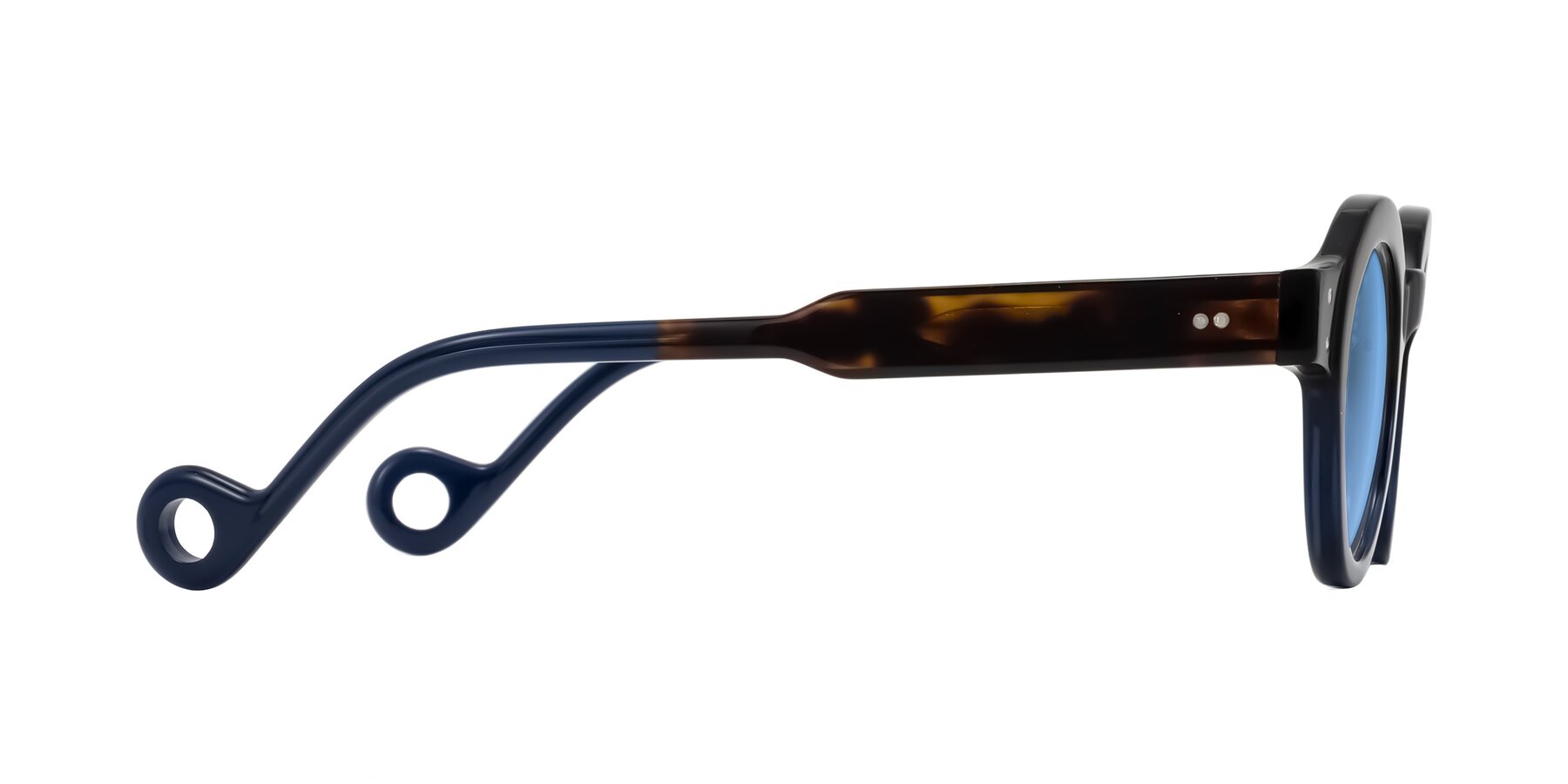 Side of Aldo in Dark Tortoise/Midnight Blue with Medium Blue Tinted Lenses