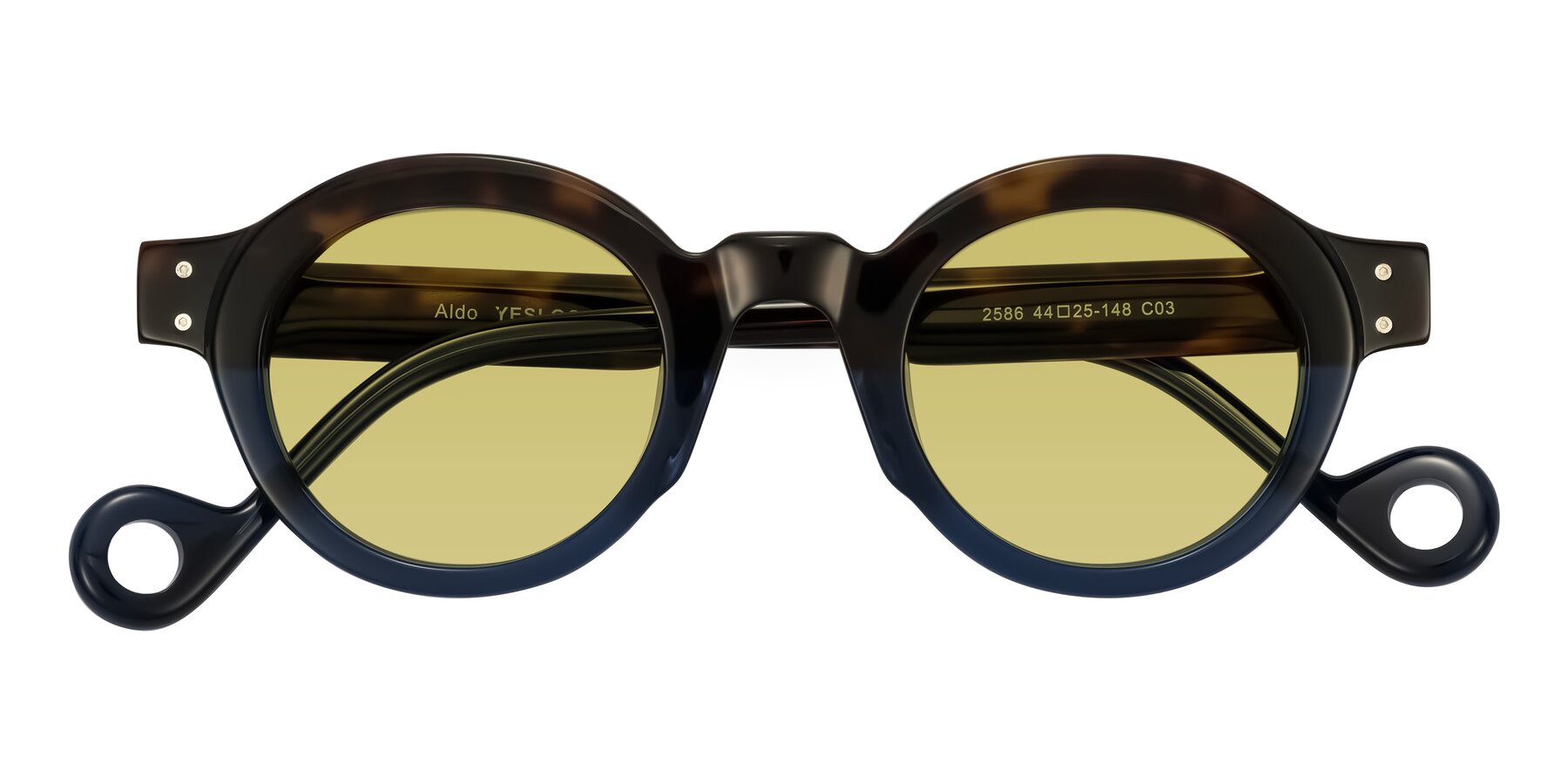 Folded Front of Aldo in Dark Tortoise/Midnight Blue with Medium Champagne Tinted Lenses