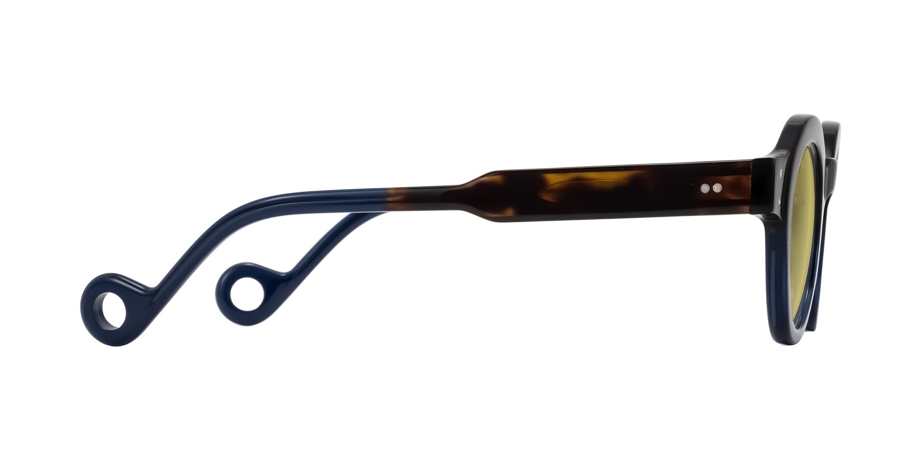 Side of Aldo in Dark Tortoise/Midnight Blue with Medium Champagne Tinted Lenses