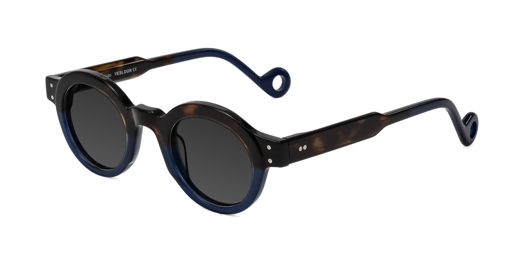 Angle of Aldo in Dark Tortoise/Midnight Blue with Gray Tinted Lenses
