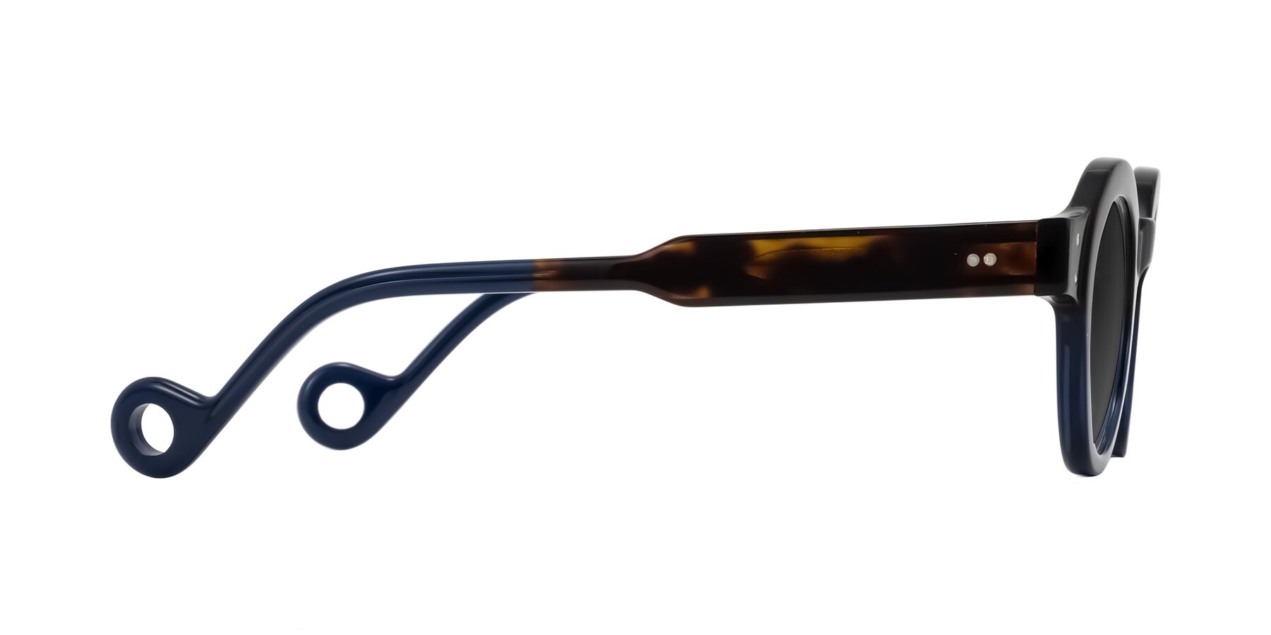 Side of Aldo in Dark Tortoise/Midnight Blue with Gray Tinted Lenses