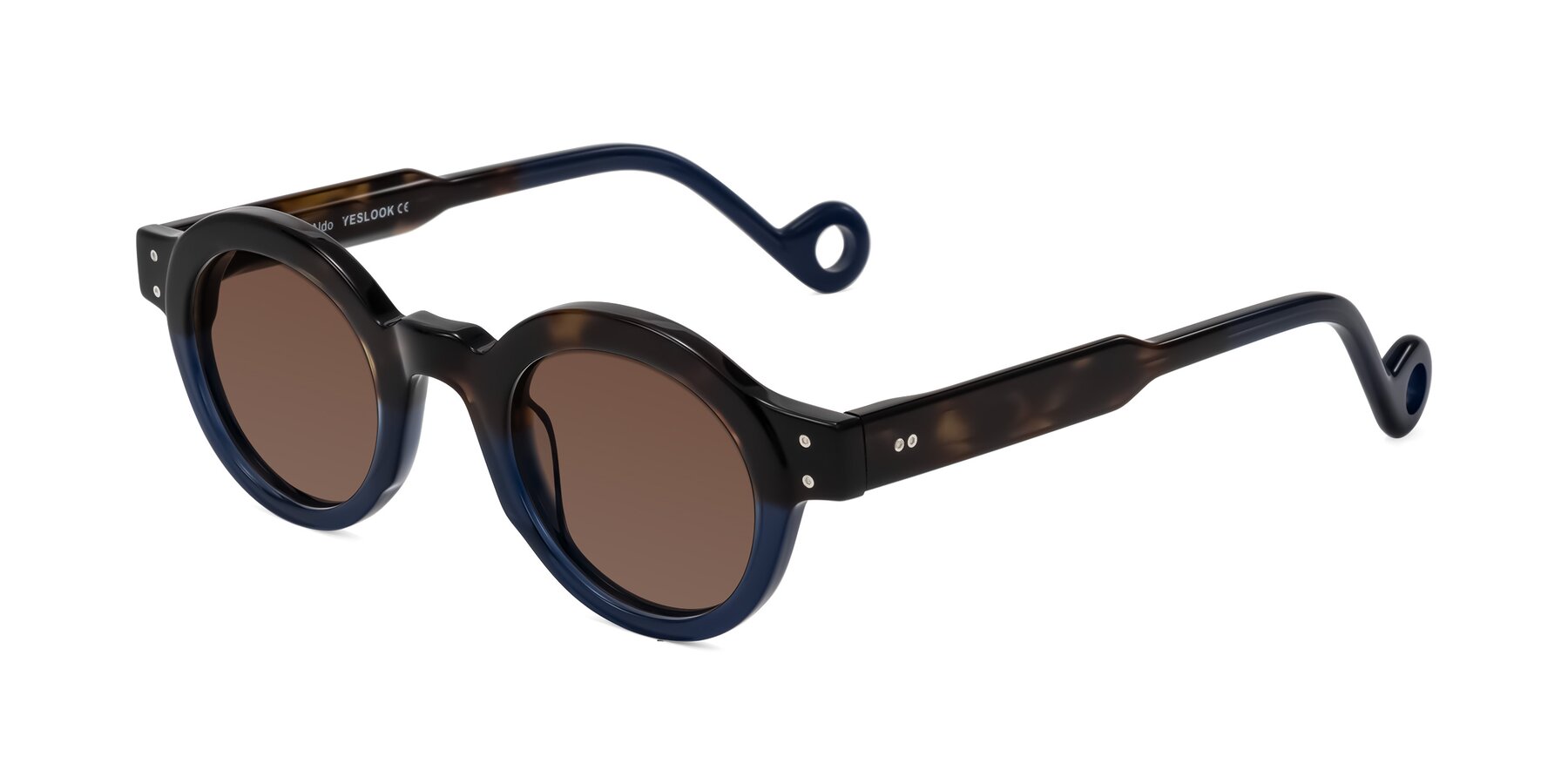 Angle of Aldo in Dark Tortoise/Midnight Blue with Brown Tinted Lenses