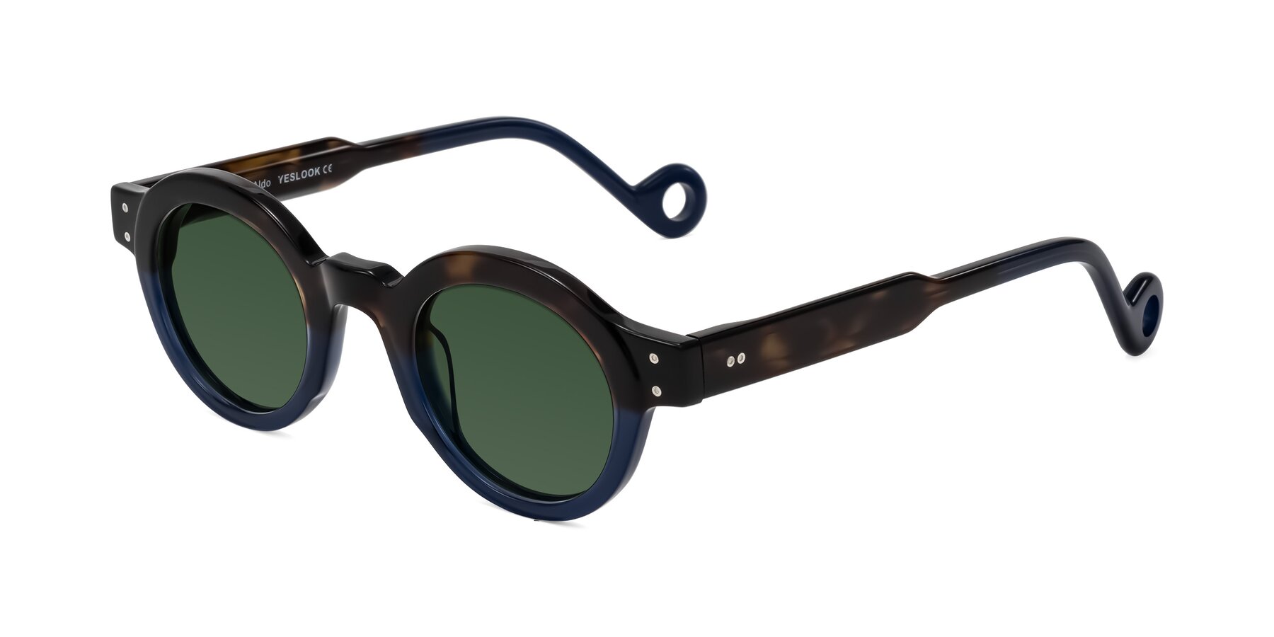 Angle of Aldo in Dark Tortoise/Midnight Blue with Green Tinted Lenses