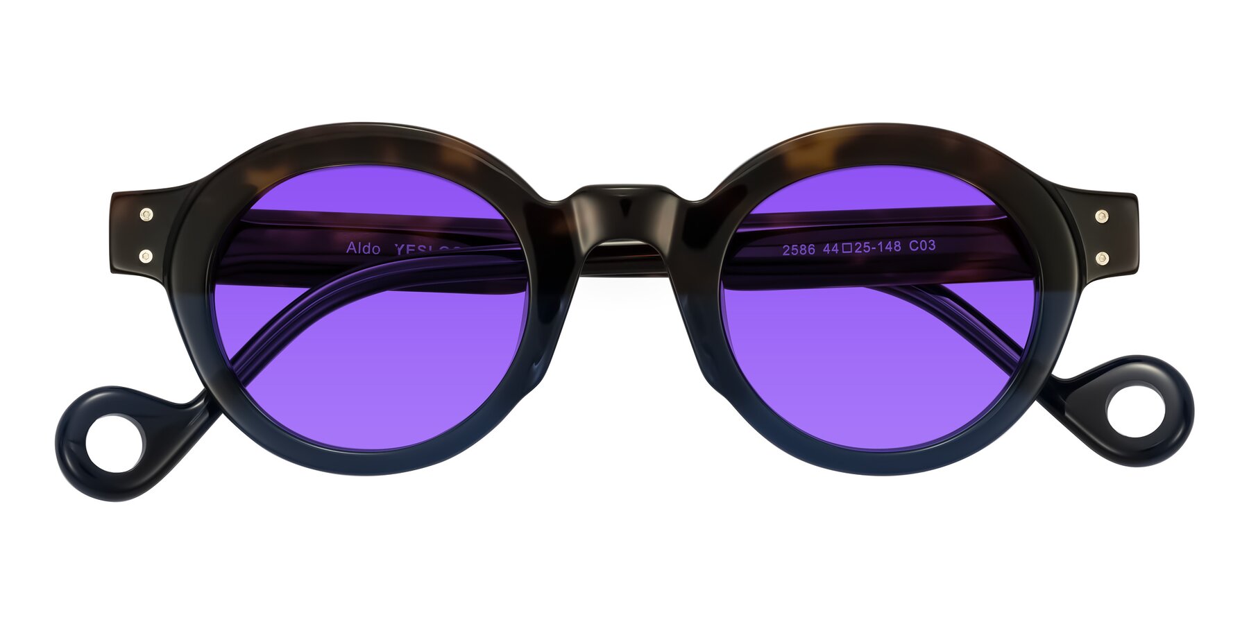 Folded Front of Aldo in Dark Tortoise/Midnight Blue with Purple Tinted Lenses