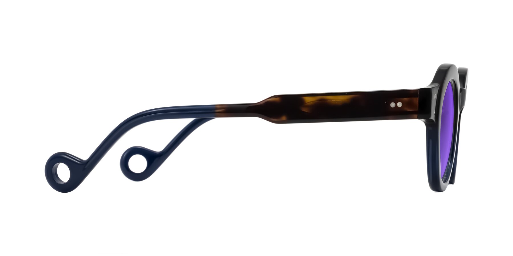 Side of Aldo in Dark Tortoise/Midnight Blue with Purple Tinted Lenses