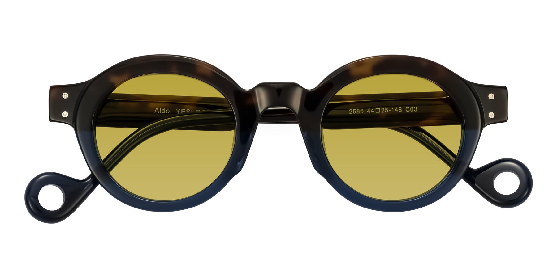 Folded Front of Aldo in Dark Tortoise/Midnight Blue with Champagne Tinted Lenses