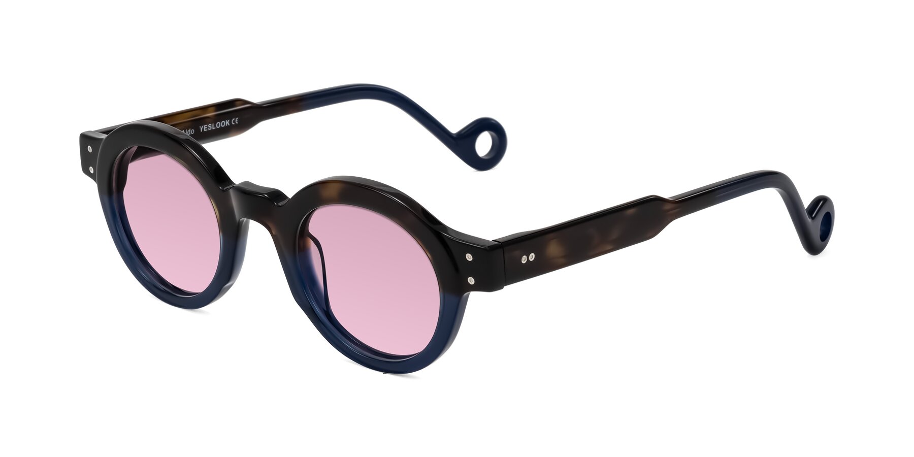 Angle of Aldo in Dark Tortoise/Midnight Blue with Light Wine Tinted Lenses
