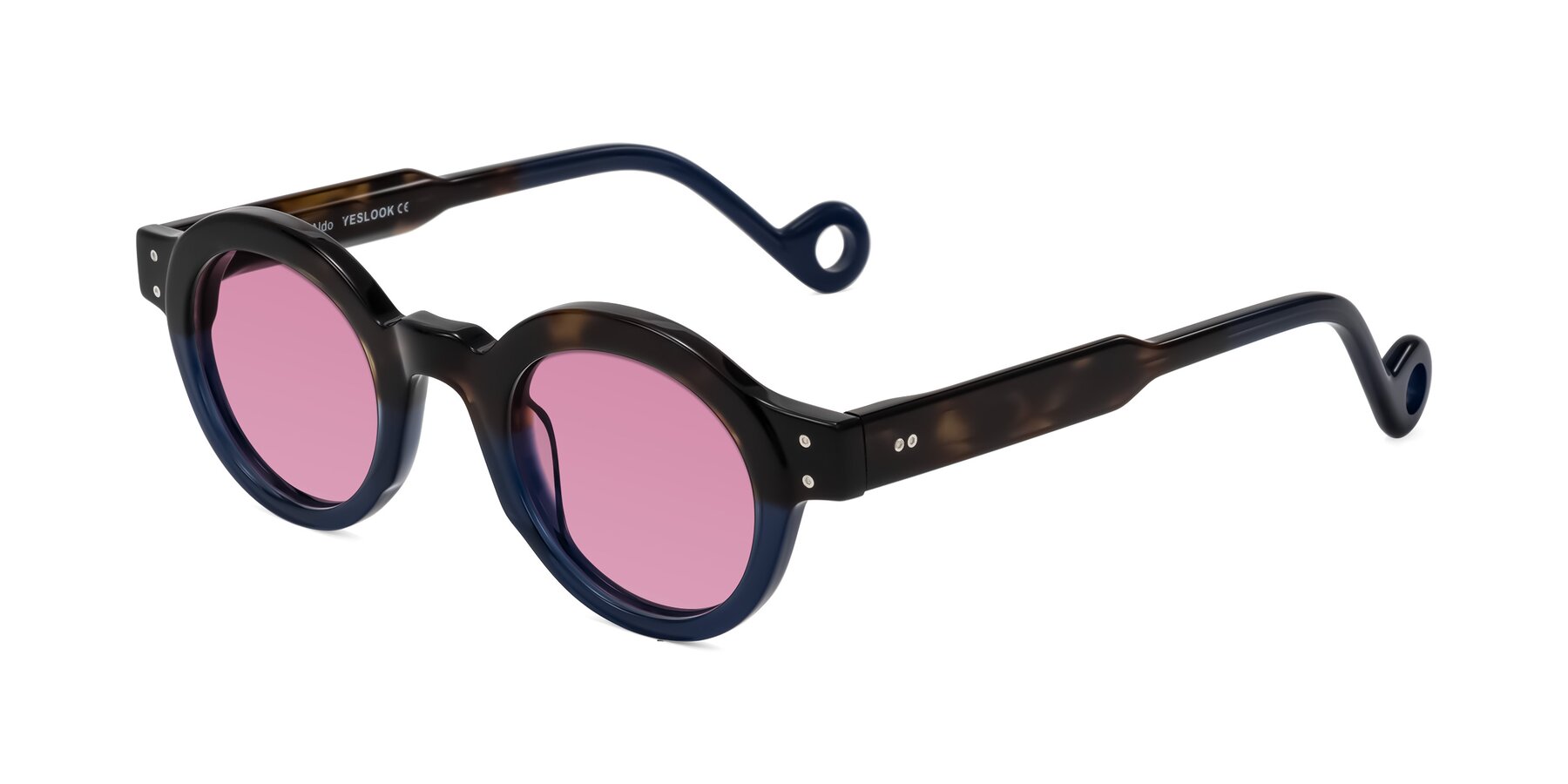 Angle of Aldo in Dark Tortoise/Midnight Blue with Medium Wine Tinted Lenses