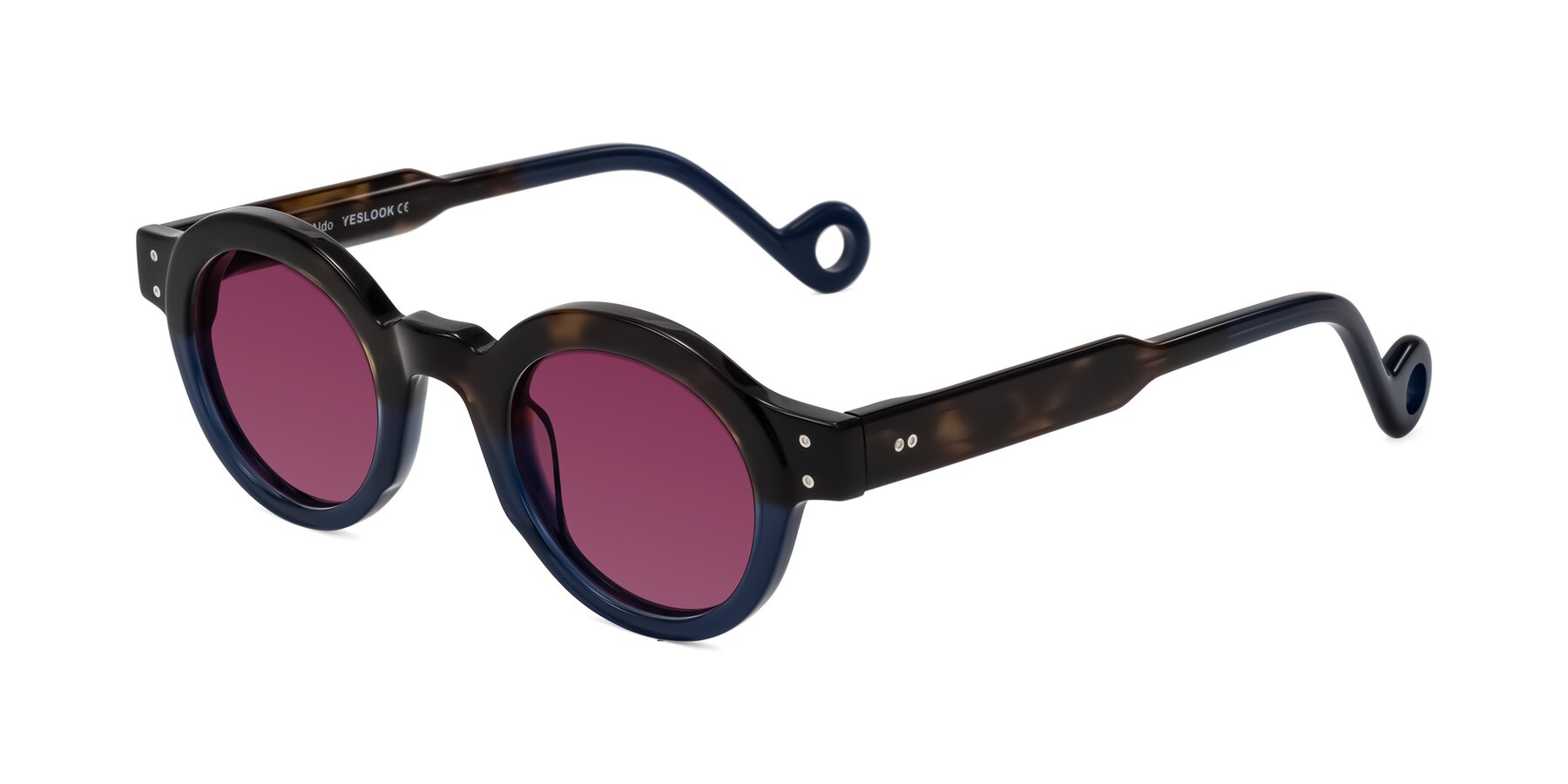 Angle of Aldo in Dark Tortoise/Midnight Blue with Wine Tinted Lenses
