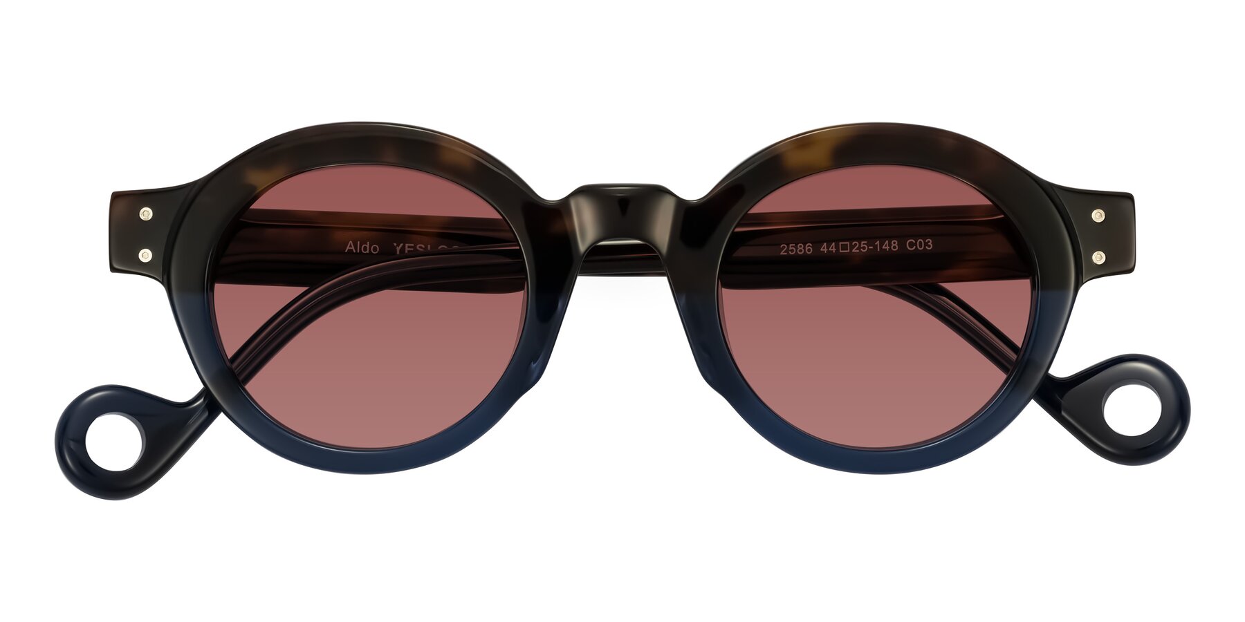Folded Front of Aldo in Dark Tortoise/Midnight Blue with Garnet Tinted Lenses