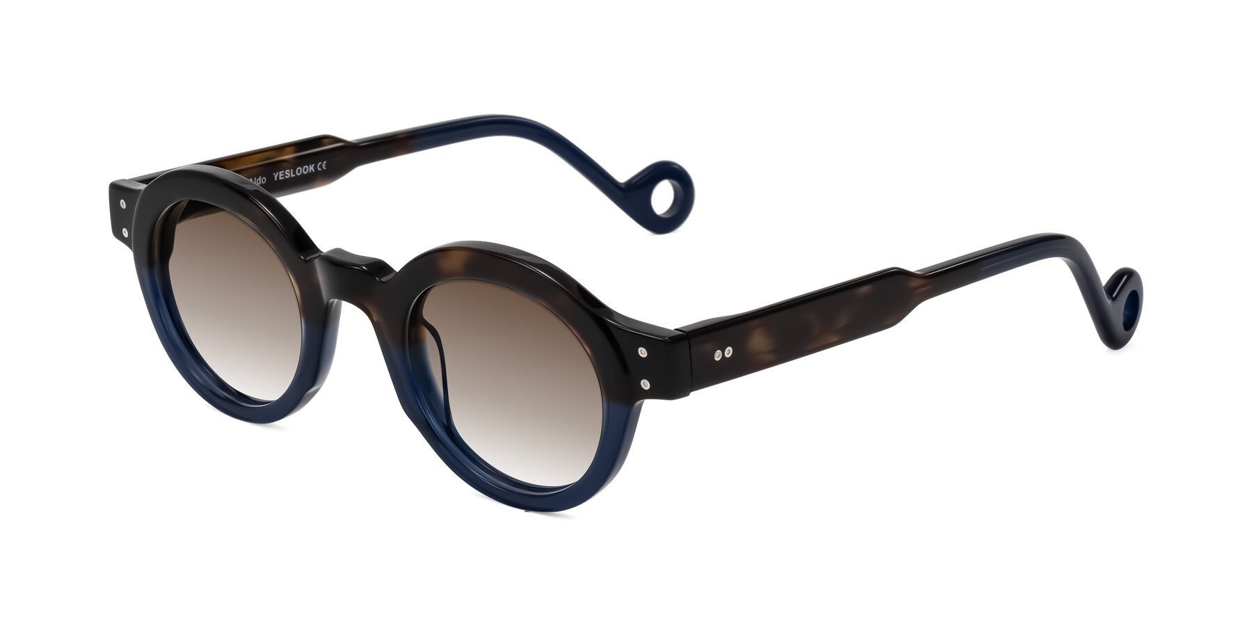 Angle of Aldo in Dark Tortoise/Midnight Blue with Brown Gradient Lenses