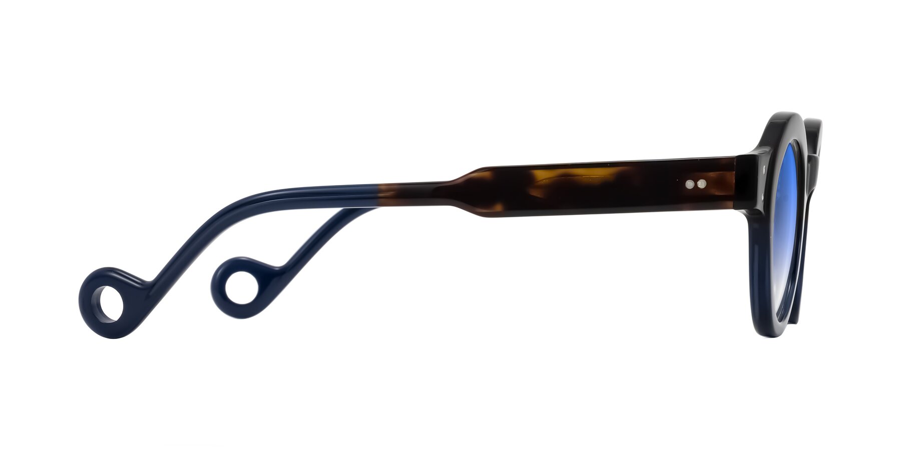 Side of Aldo in Dark Tortoise/Midnight Blue with Blue Gradient Lenses