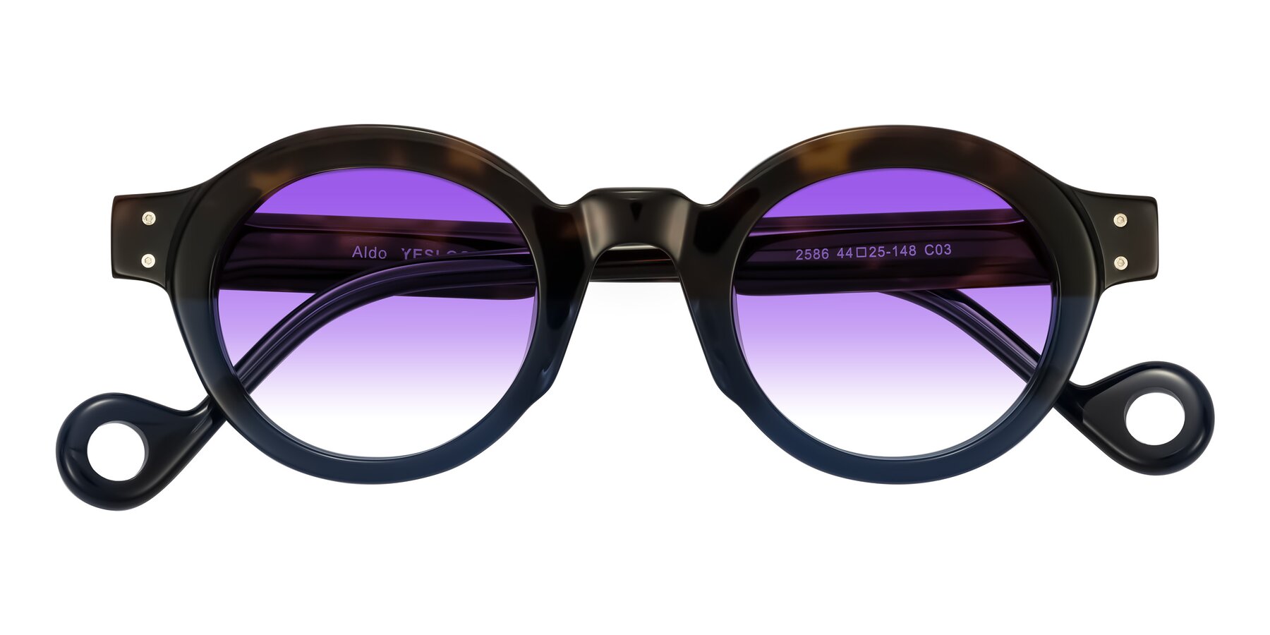 Folded Front of Aldo in Dark Tortoise/Midnight Blue with Purple Gradient Lenses