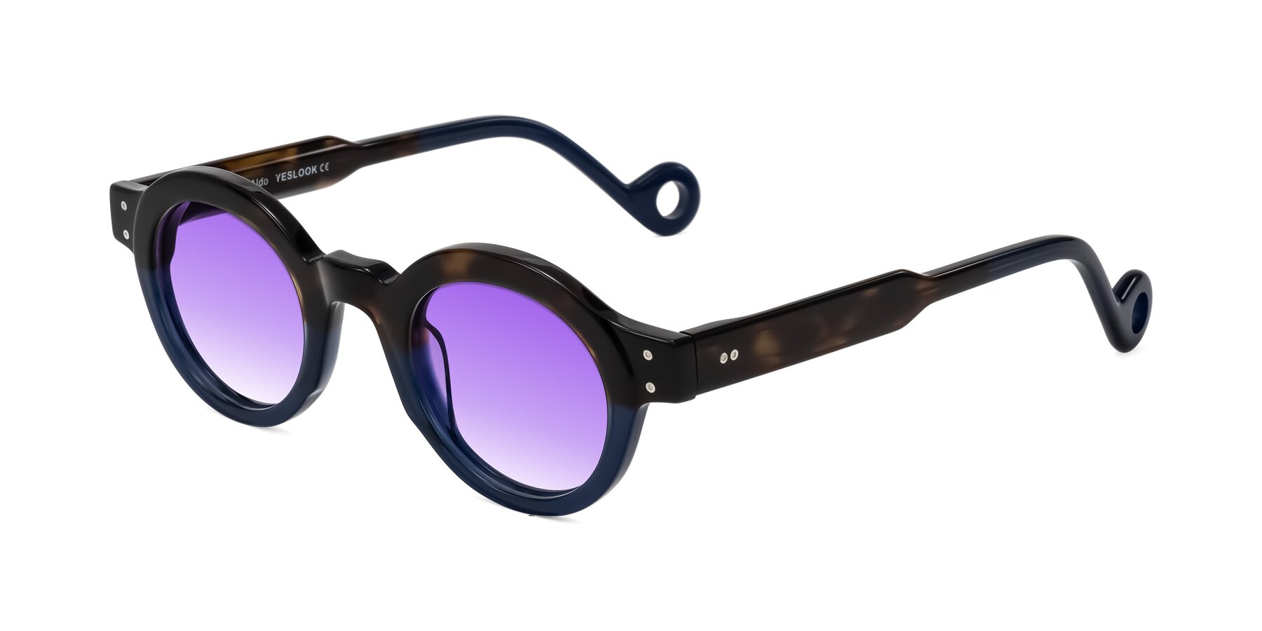Angle of Aldo in Dark Tortoise/Midnight Blue with Purple Gradient Lenses