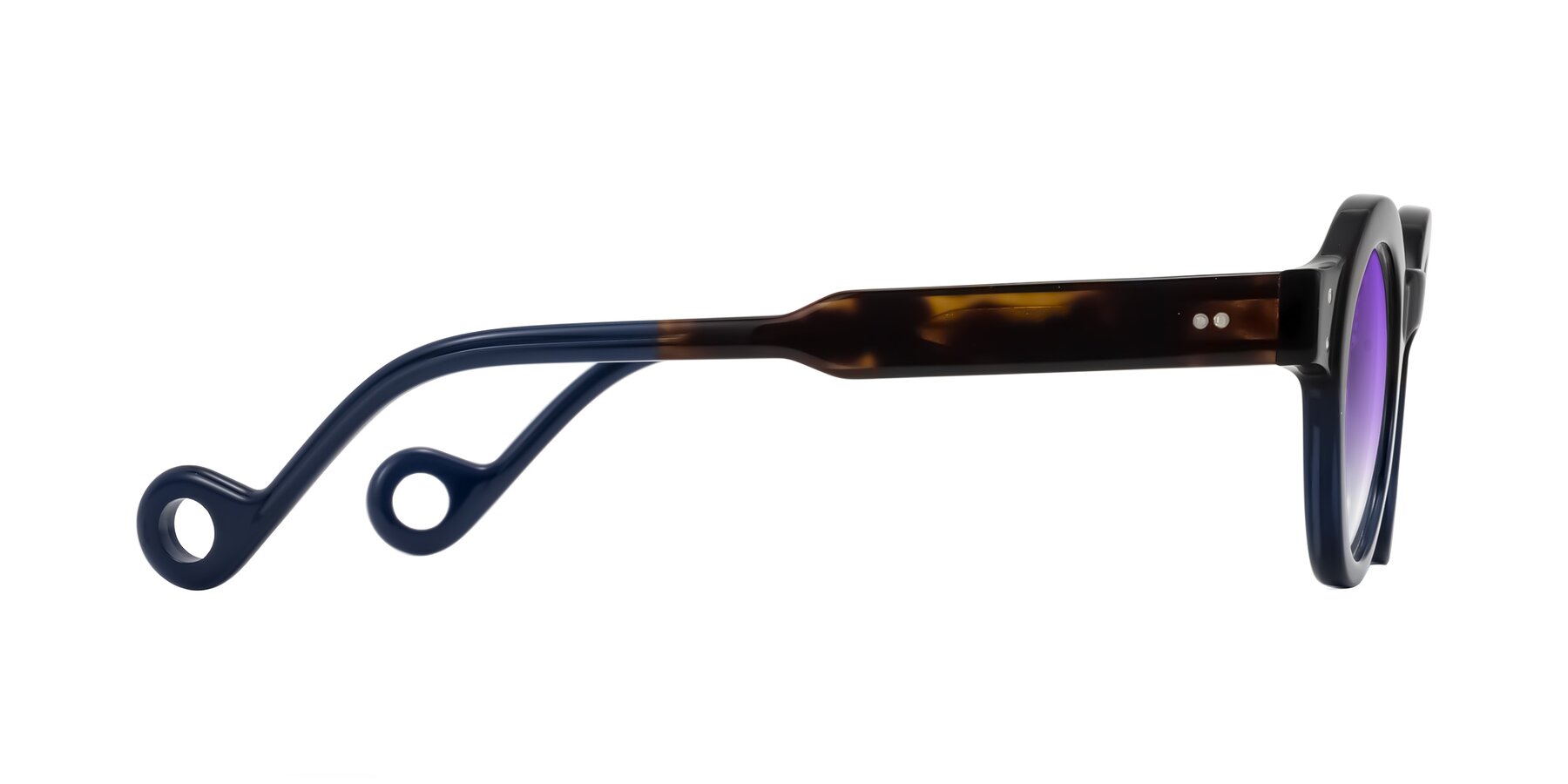 Side of Aldo in Dark Tortoise/Midnight Blue with Purple Gradient Lenses