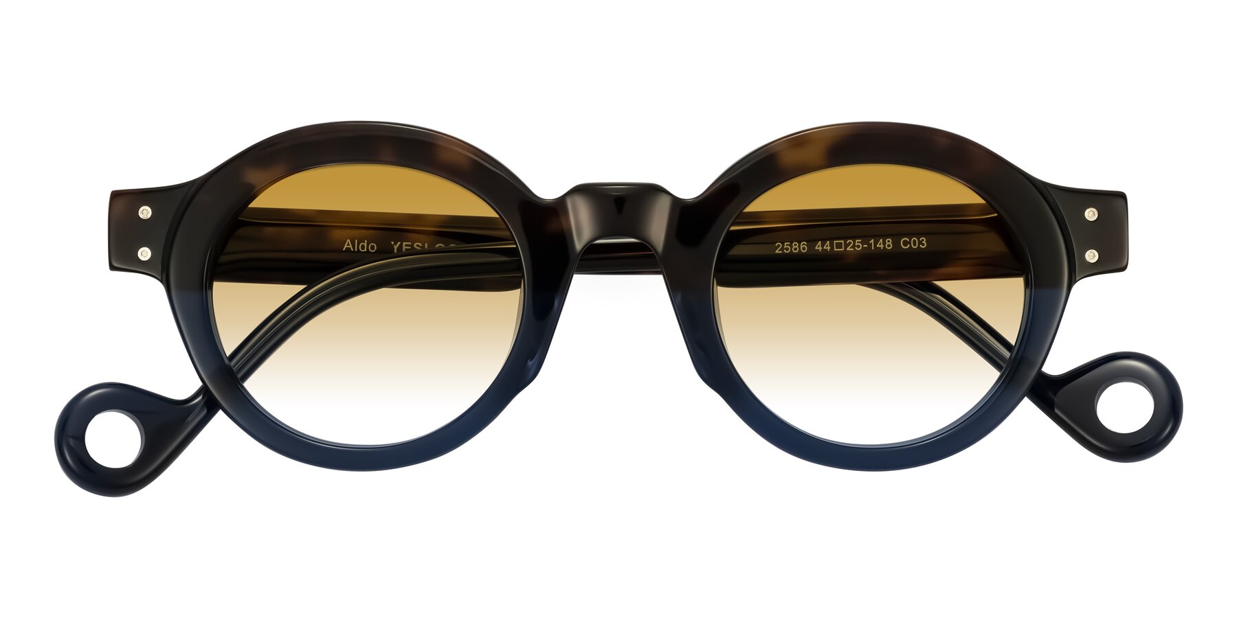 Folded Front of Aldo in Dark Tortoise/Midnight Blue with Champagne Gradient Lenses