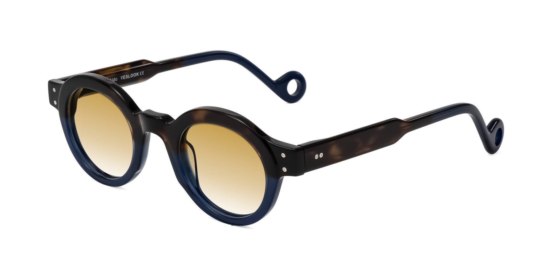 Angle of Aldo in Dark Tortoise/Midnight Blue with Champagne Gradient Lenses