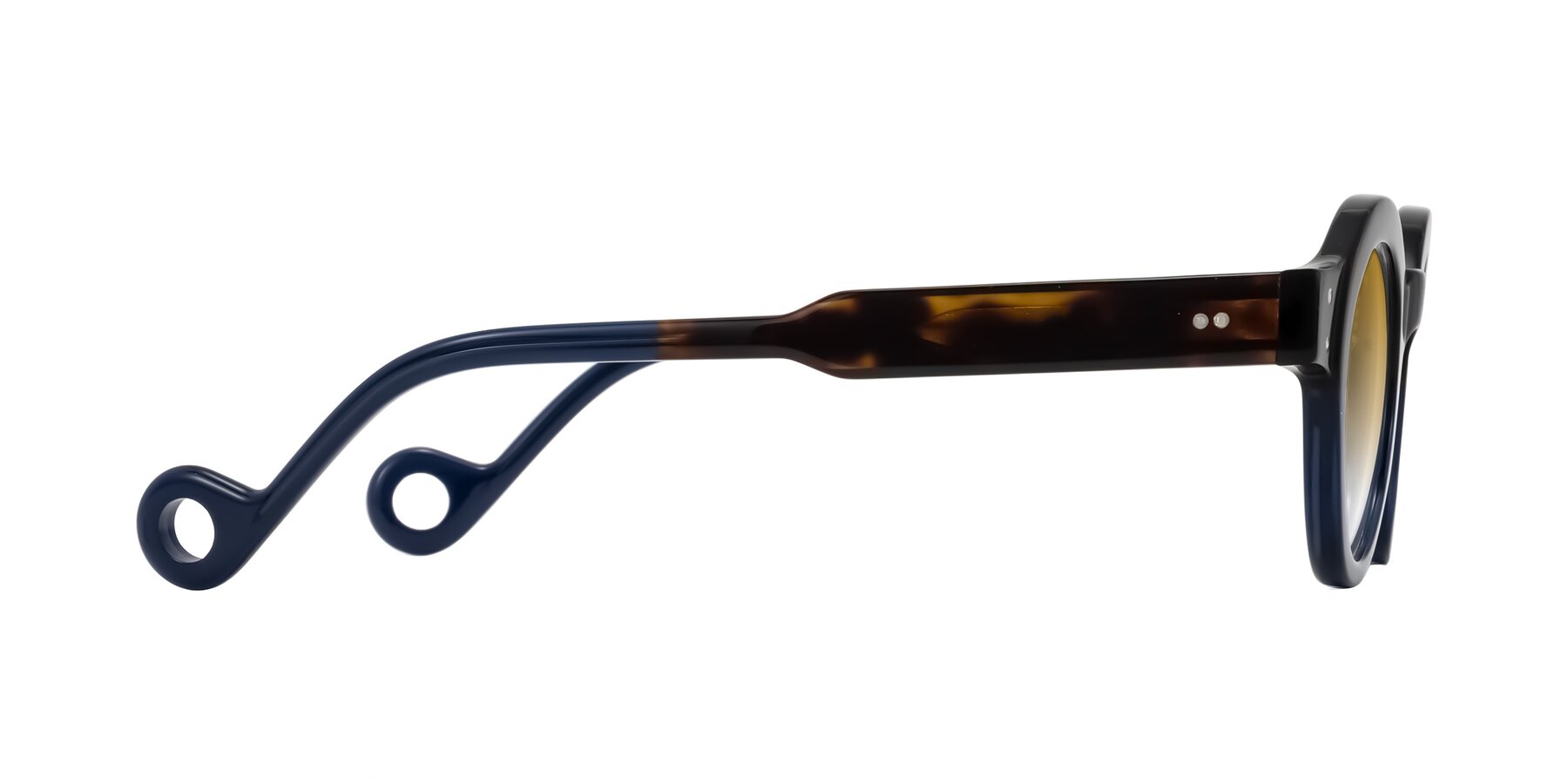 Side of Aldo in Dark Tortoise/Midnight Blue with Champagne Gradient Lenses