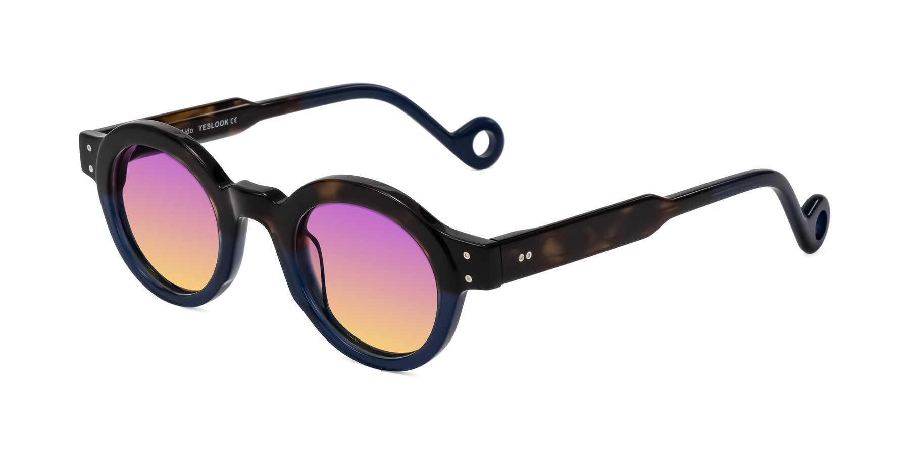 Angle of Aldo in Dark Tortoise/Midnight Blue with Purple / Yellow Gradient Lenses