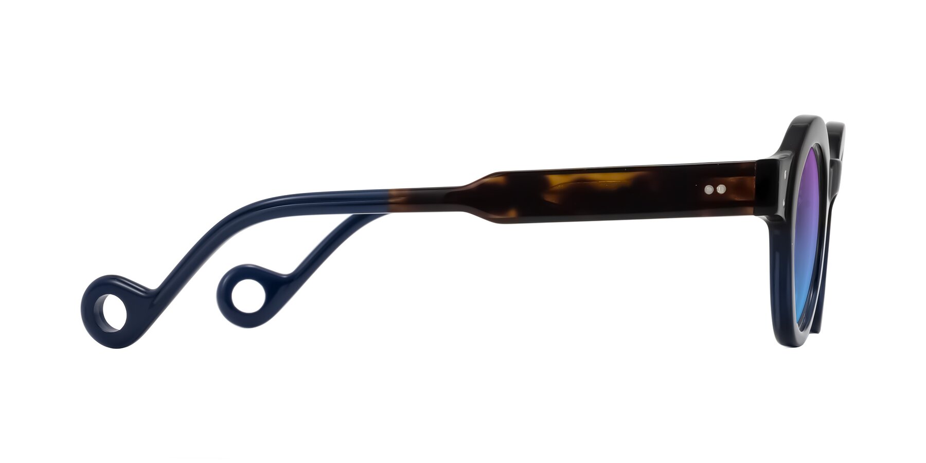 Side of Aldo in Dark Tortoise/Midnight Blue with Purple / Blue Gradient Lenses