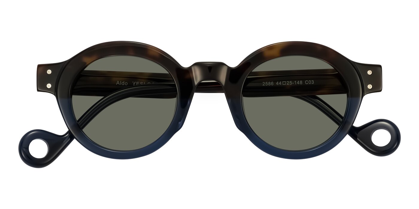 Aldo - Dark Tortoise/Midnight Blue Polarized Sunglasses