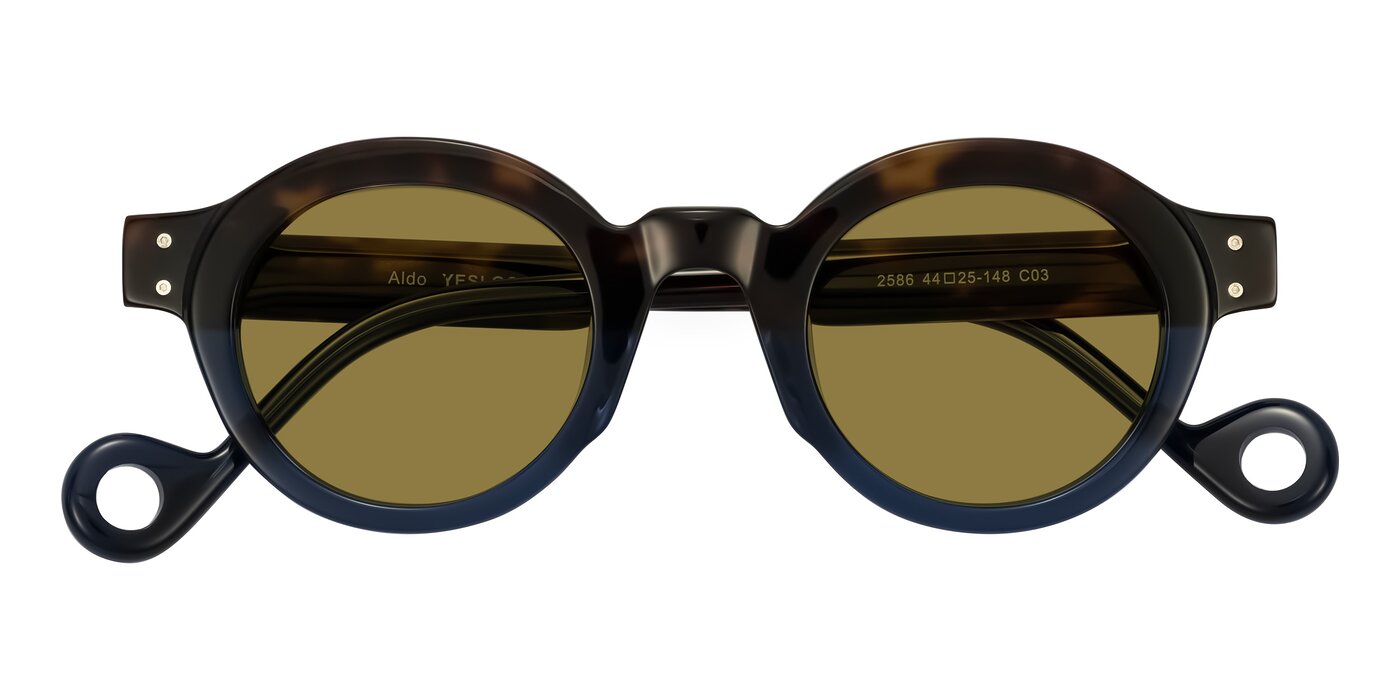 Aldo - Dark Tortoise/Midnight Blue Polarized Sunglasses