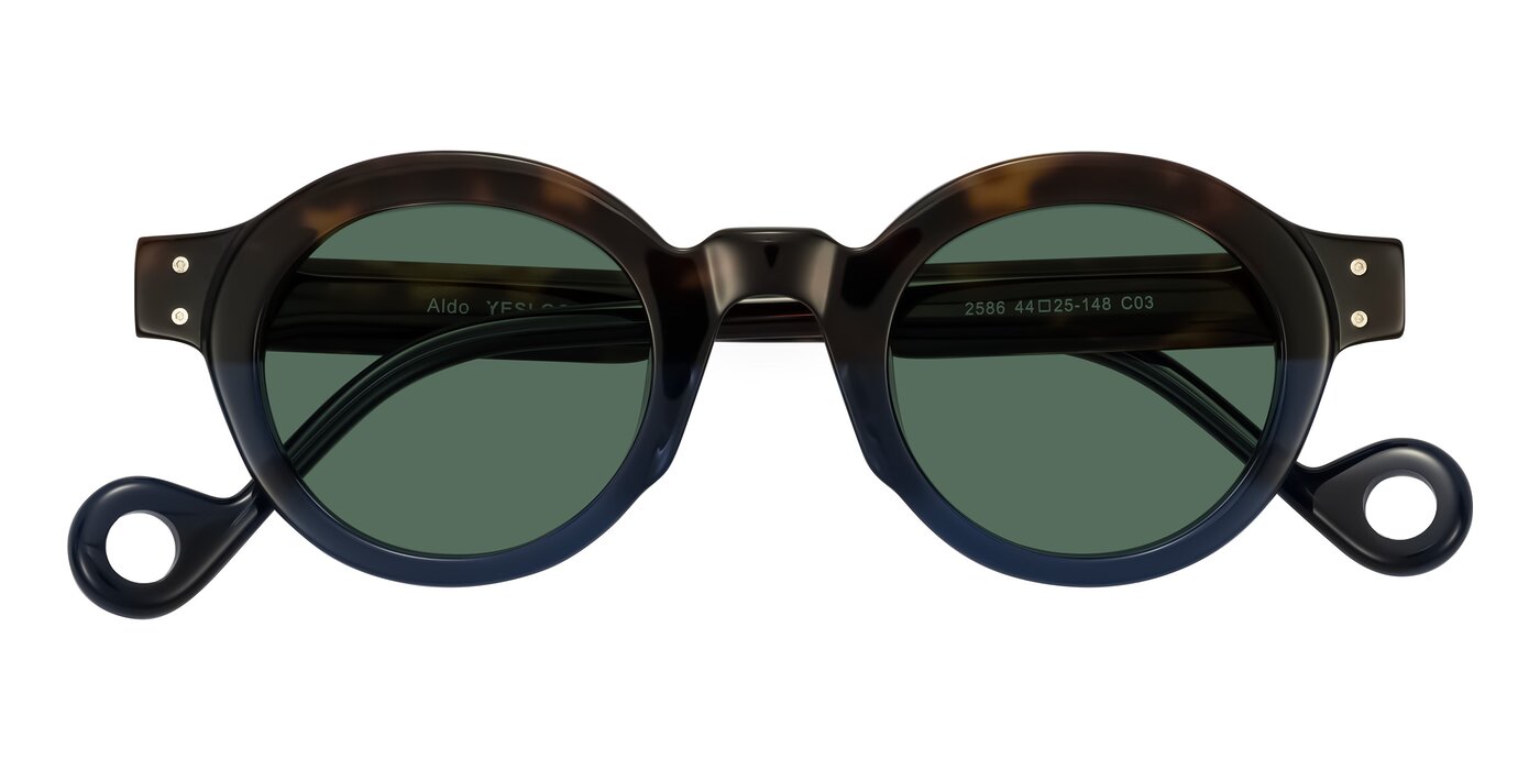 Aldo - Dark Tortoise/Midnight Blue Polarized Sunglasses