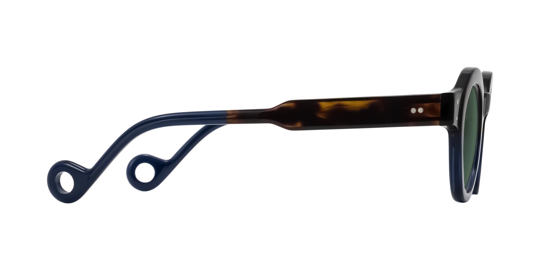 Side of Aldo in Dark Tortoise/Midnight Blue with Green Polarized Lenses