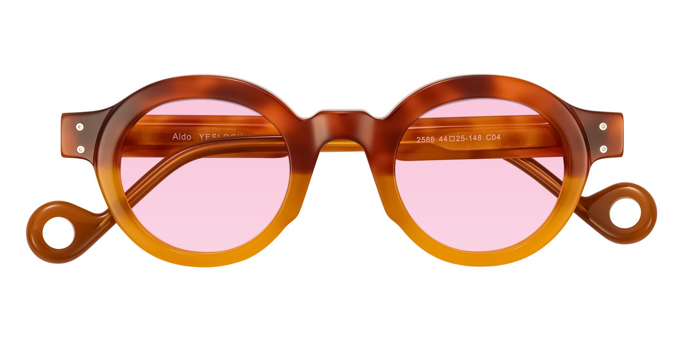 Aldo - Light Tortoise/Caramel Tinted Sunglasses
