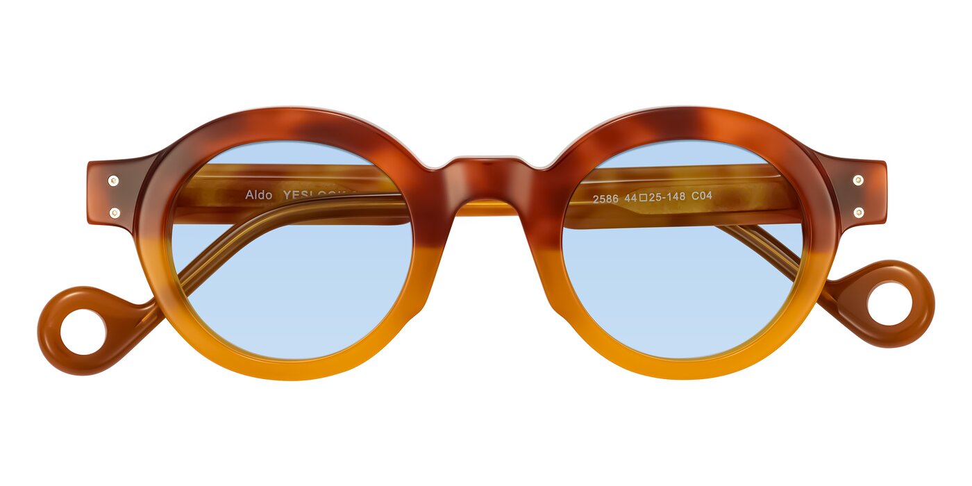 Aldo - Light Tortoise/Caramel Tinted Sunglasses