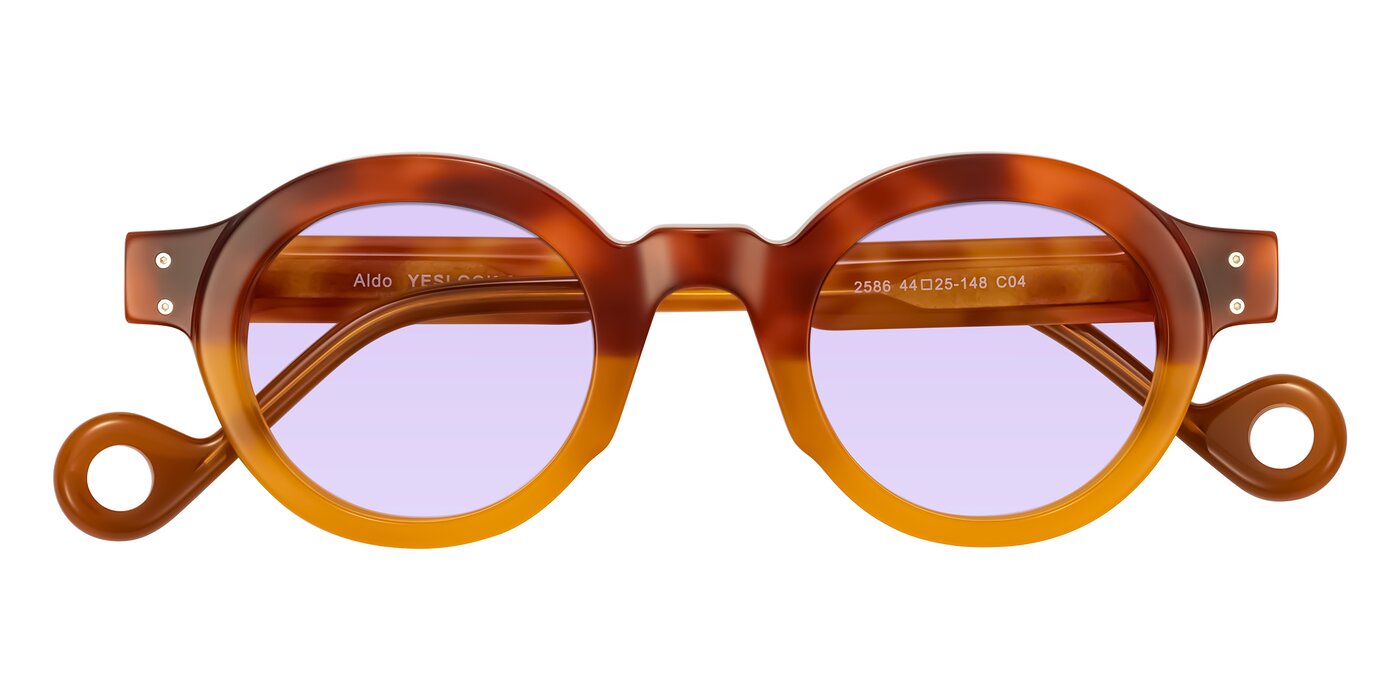 Aldo - Light Tortoise/Caramel Tinted Sunglasses