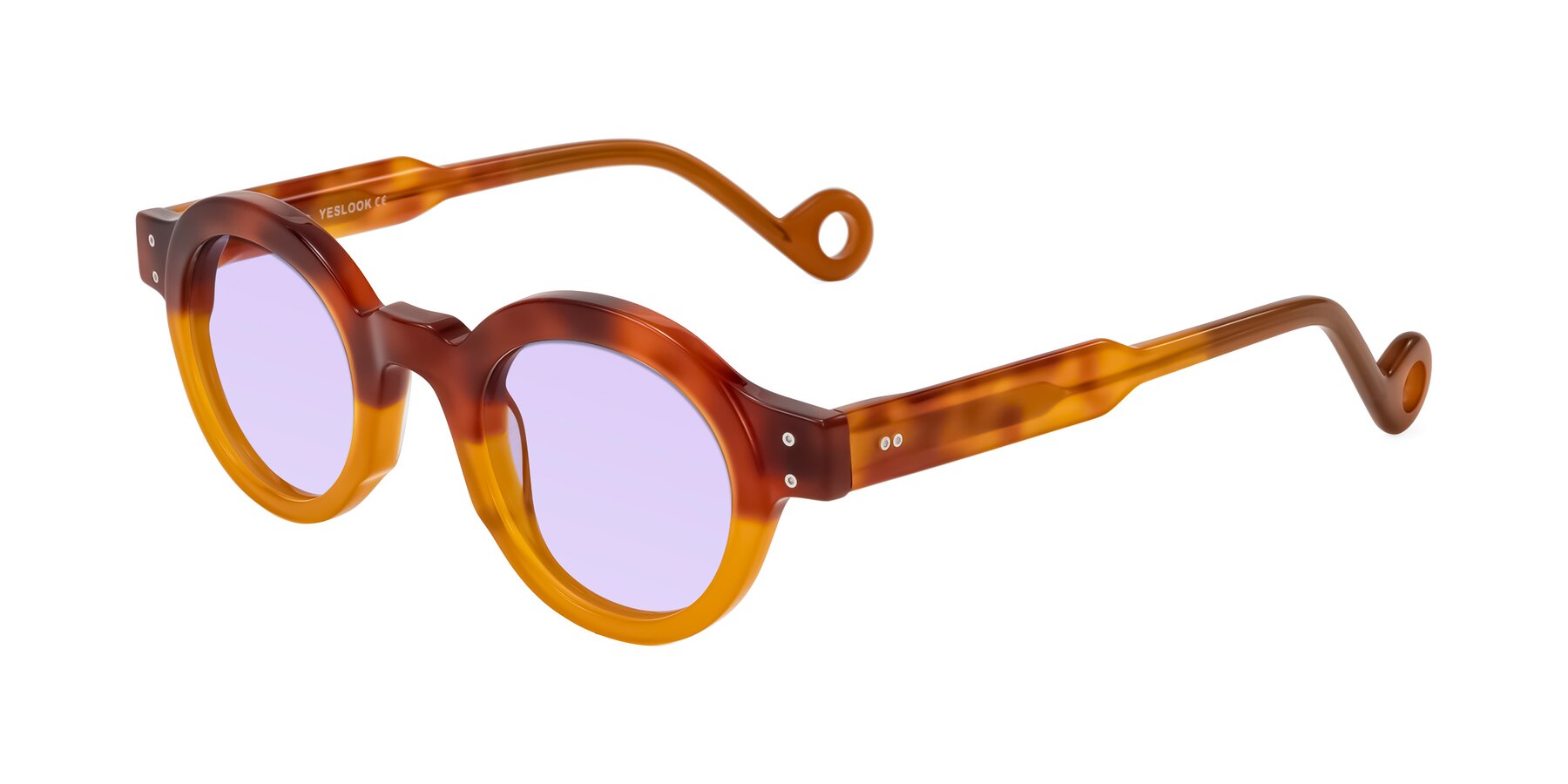Angle of Aldo in Light Tortoise/Caramel with Light Purple Tinted Lenses