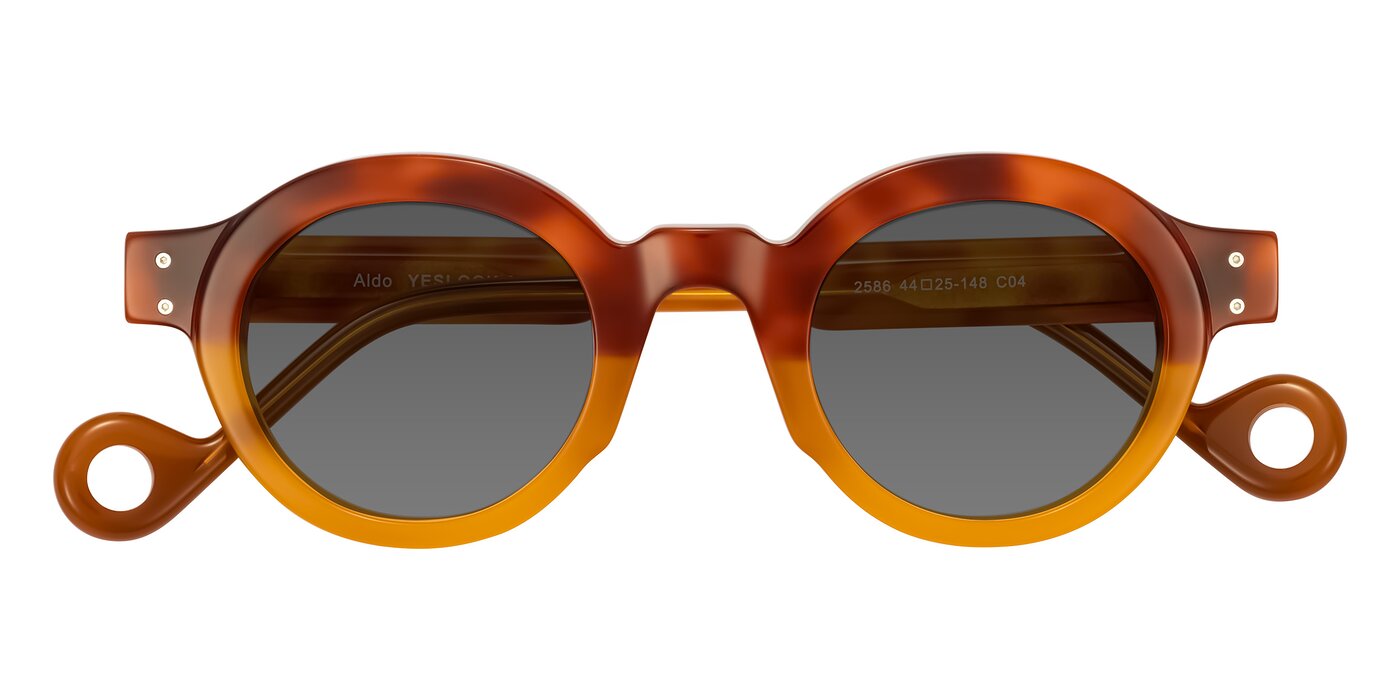 Aldo - Light Tortoise/Caramel Tinted Sunglasses