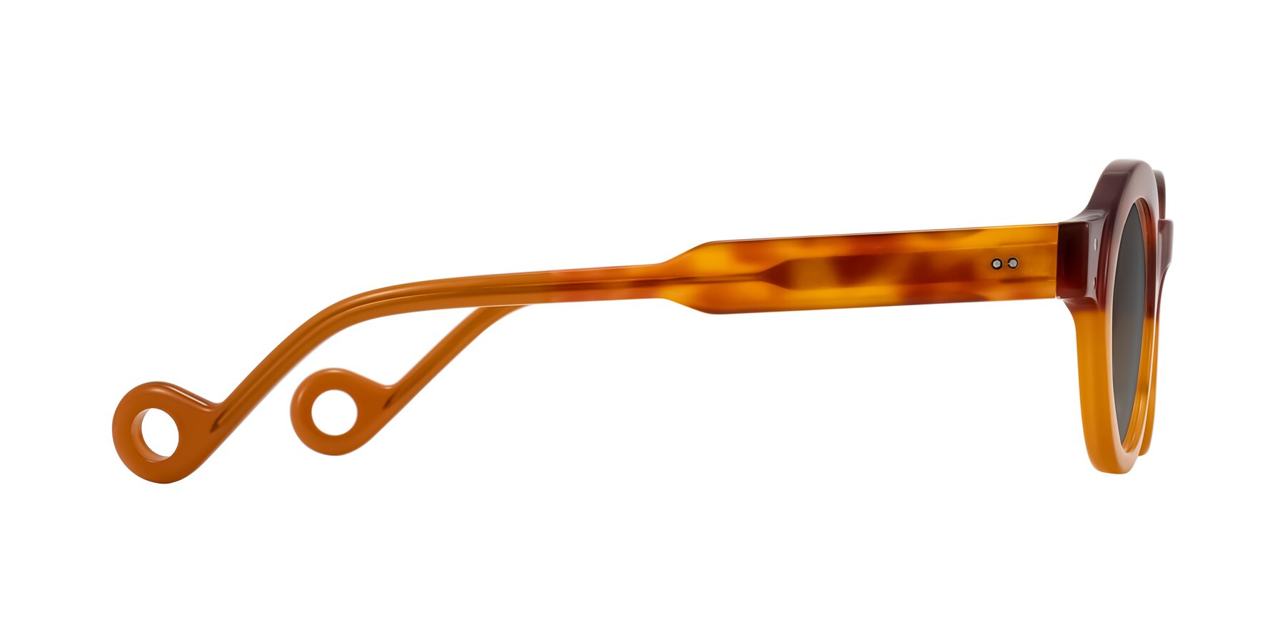 Side of Aldo in Light Tortoise/Caramel with Medium Gray Tinted Lenses