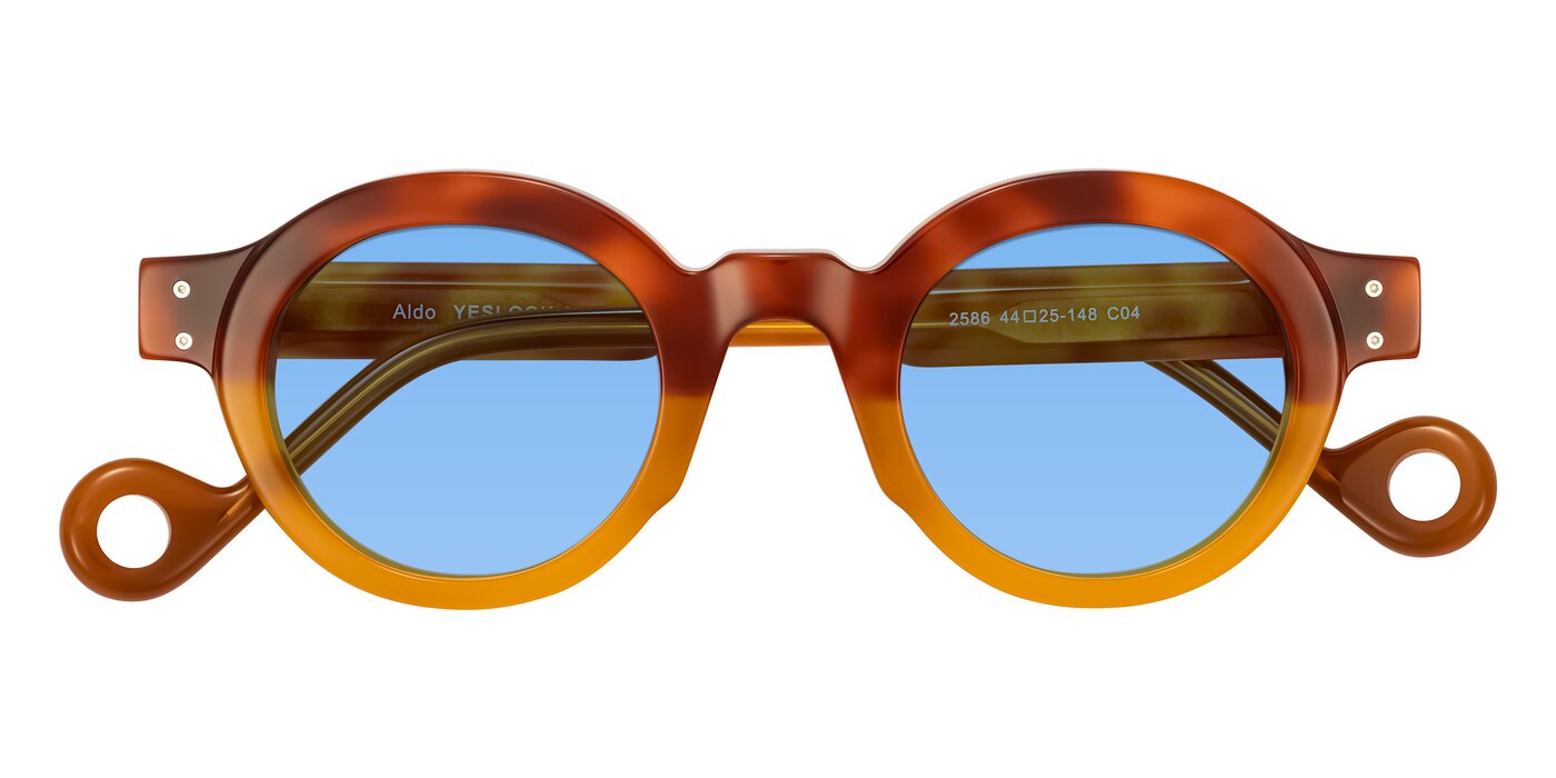 Aldo - Light Tortoise/Caramel Tinted Sunglasses