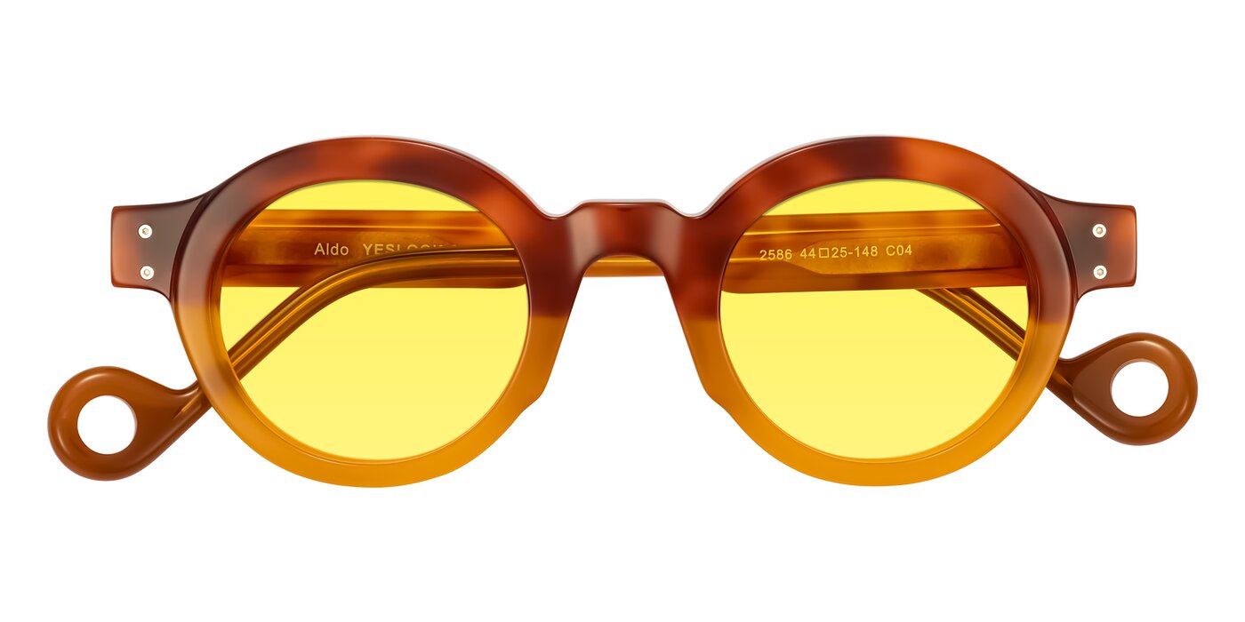 Aldo - Light Tortoise/Caramel Tinted Sunglasses
