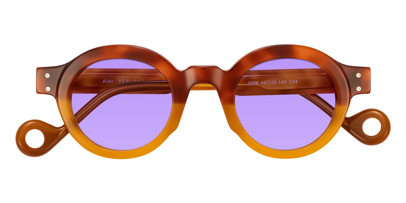 Aldo - Light Tortoise/Caramel Tinted Sunglasses