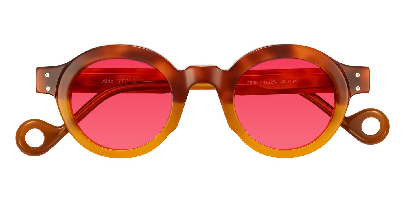 Aldo - Light Tortoise/Caramel Tinted Sunglasses