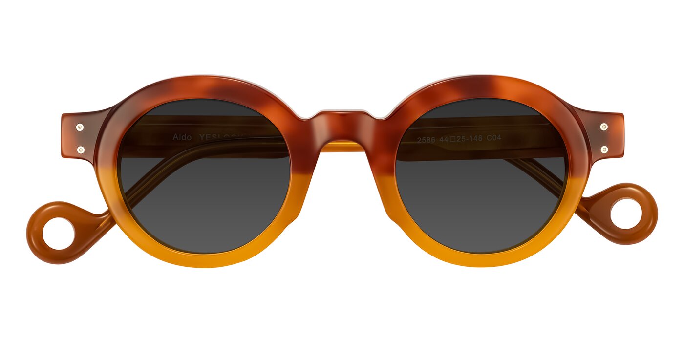 Aldo - Light Tortoise/Caramel Tinted Sunglasses